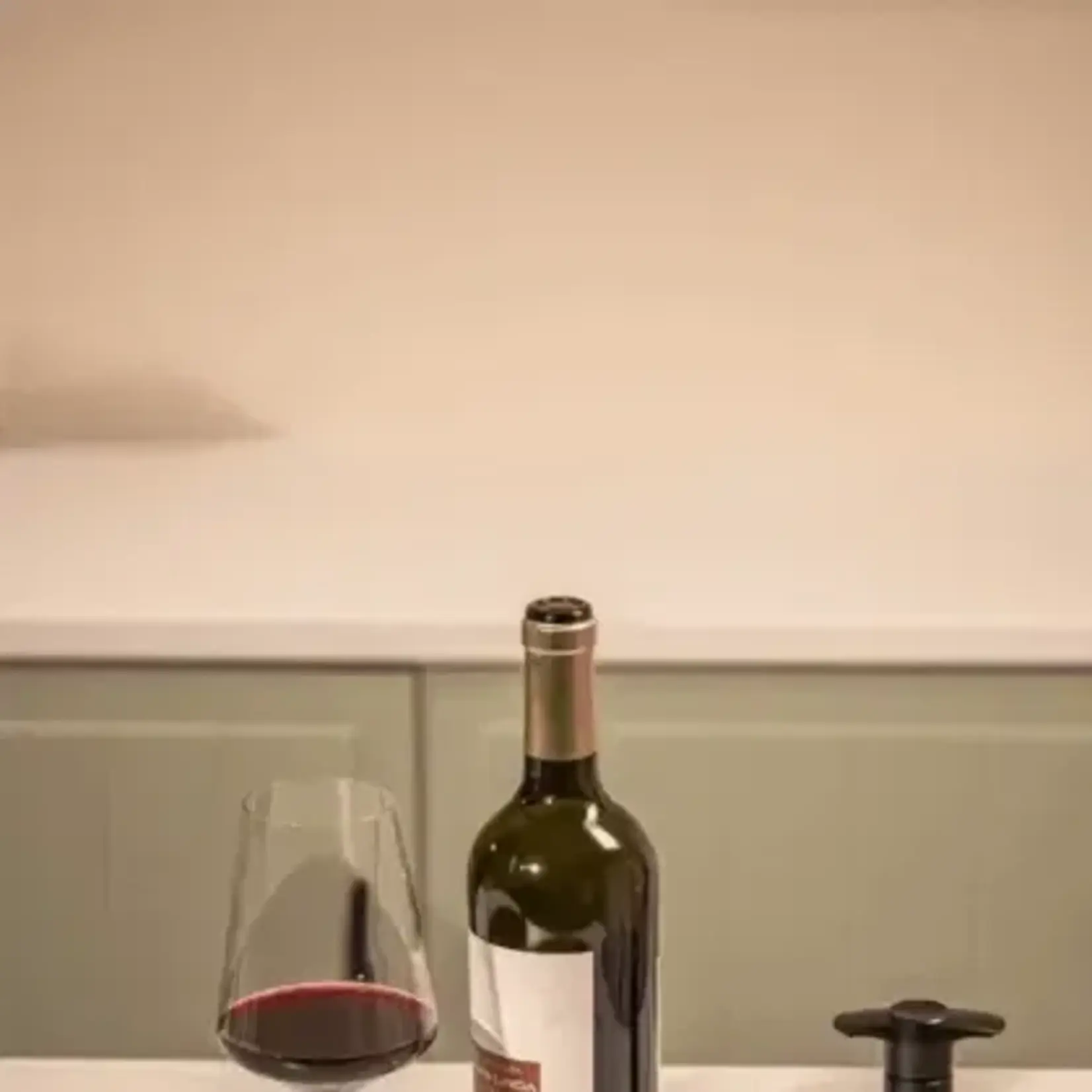 Diverse Merken Vacuvin Wine Saver zwart wijn vacuümpomp met 4 stoppers Vacuvin 09824606
