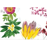 The NapKing The NapKing Flora Rosa tafelkleed 180 x 270 cm Linnen Premium Flora Rosa 180 x 270 cm