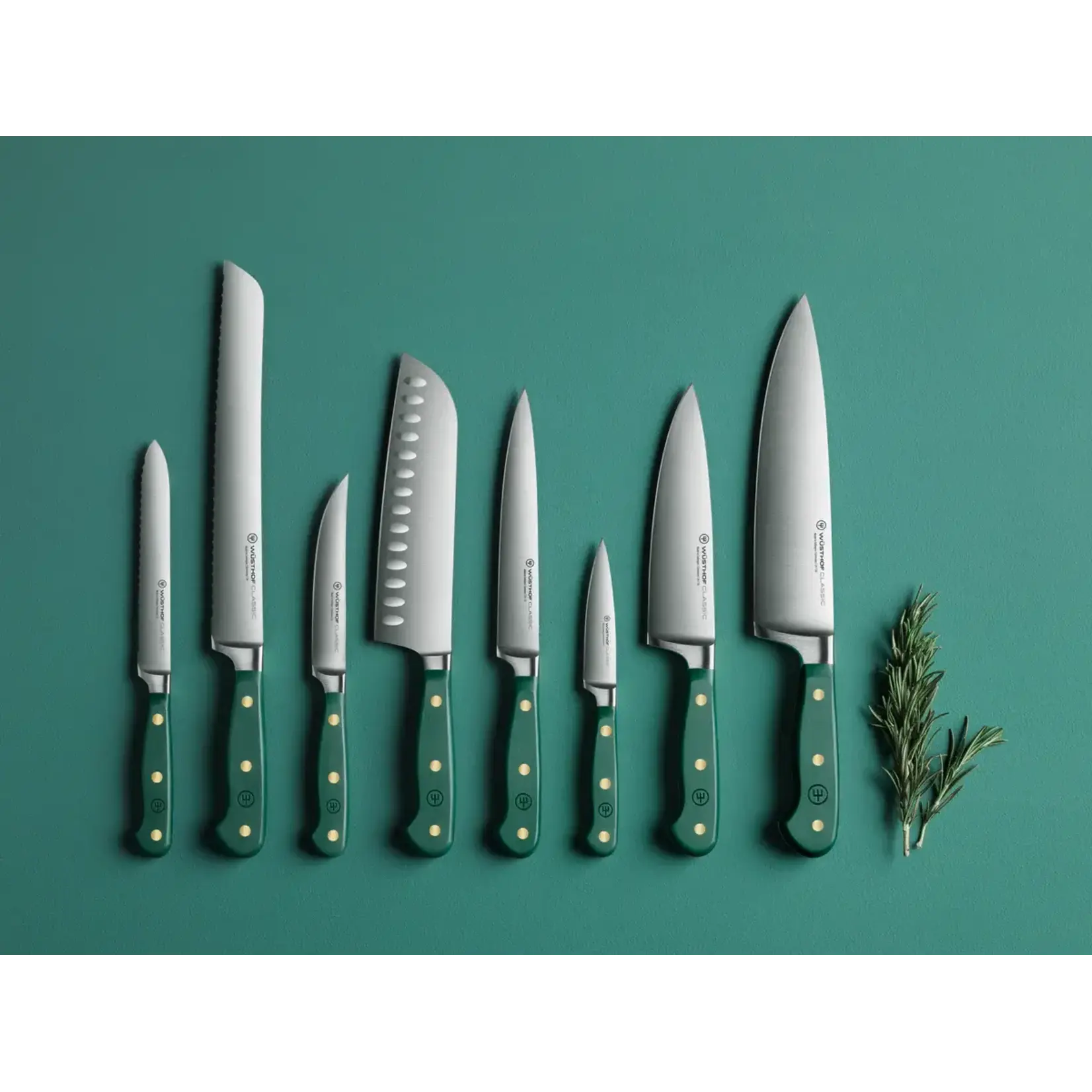 Wüsthof, messen uit Solingen 20 cm koks mes Wusthof Classic koksmes 20 cm Classic Fresh Rosemary Wusthof 1061700720