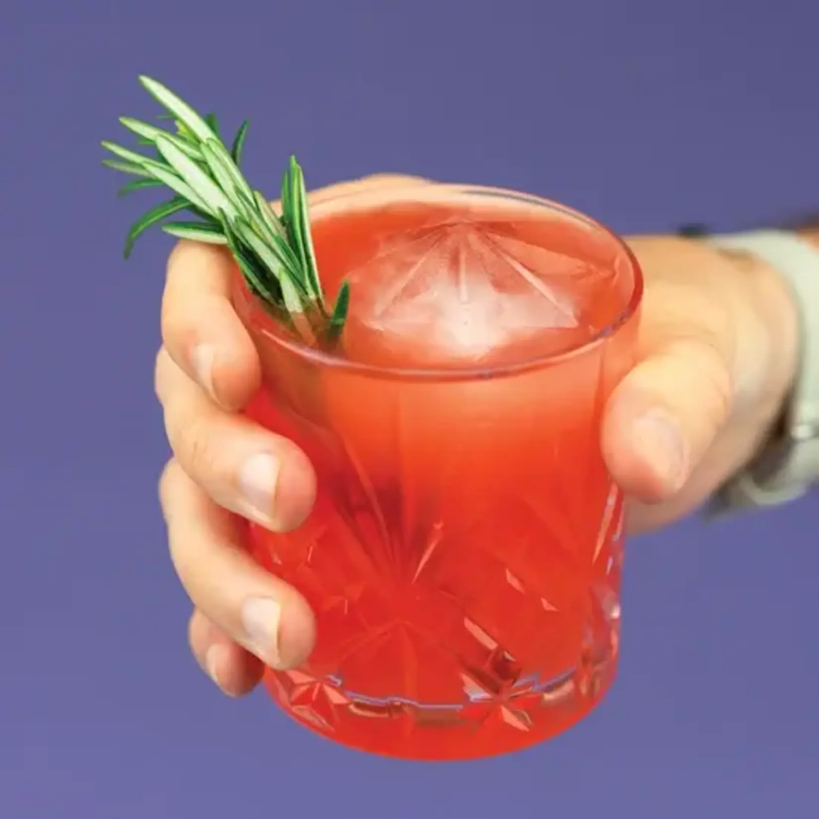 Diverse Merken Zoku Iceberg Ice Molds set van 2 ijsbergen ijsblokjes vormen Zoku ZK155