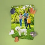 Diverse Merken Trendform magneten Puppy set van 5 magneten FA4467