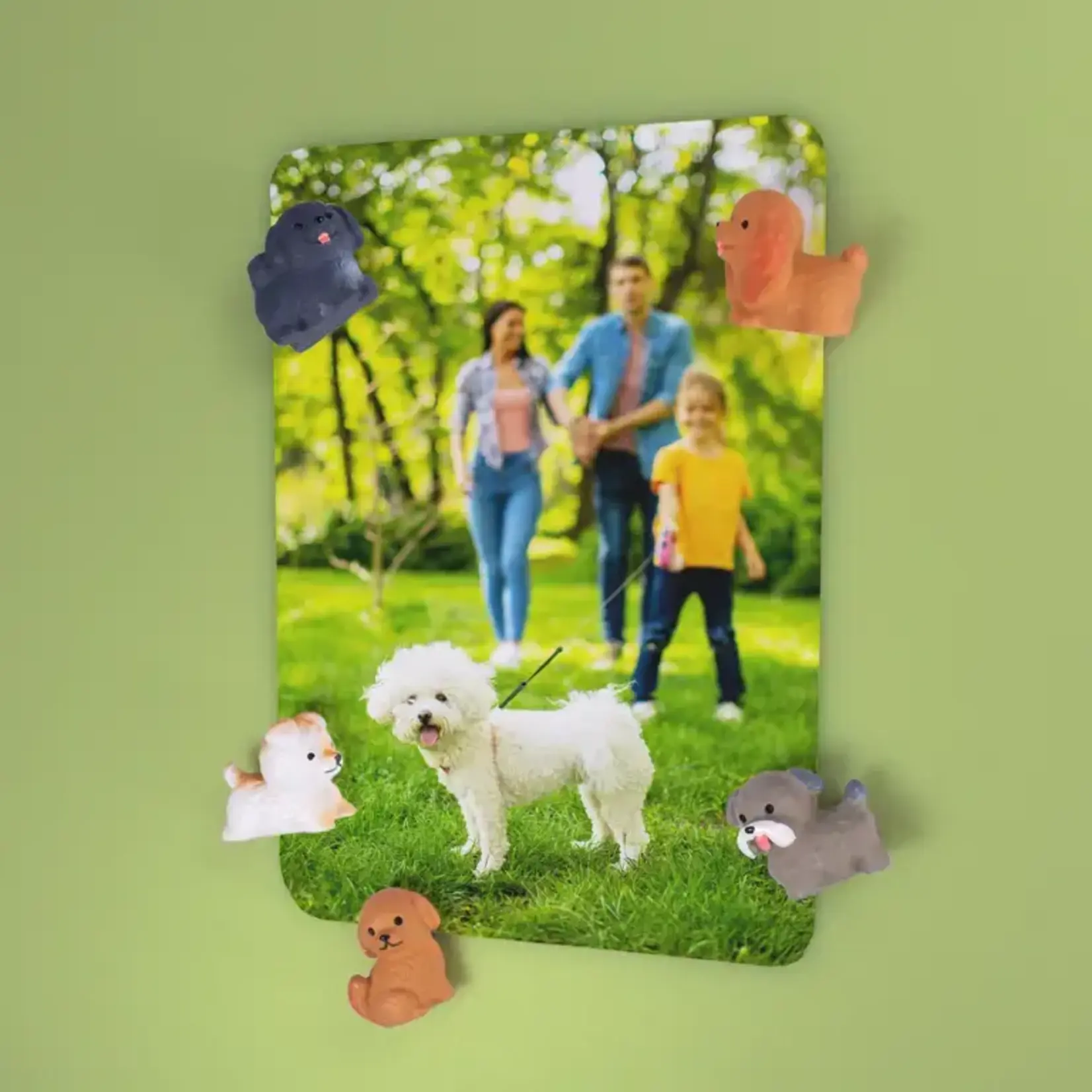 Diverse Merken Trendform magneten Puppy set van 5 magneten FA4467