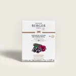 Maison Berger Paris 1898 Maison Berger autoparfum navulling set-2 Oud Hypnotique Maison Berger 7920