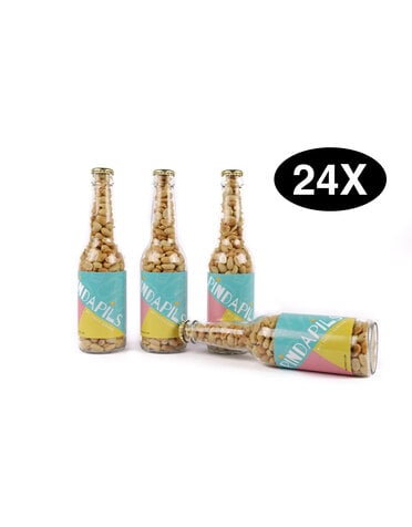 PindaPils Kogelpinda's Gezouten Zomer editie 24 stuks 33cl