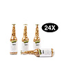 PindaPils Pinda's Gezouten 24 stuks 33cl