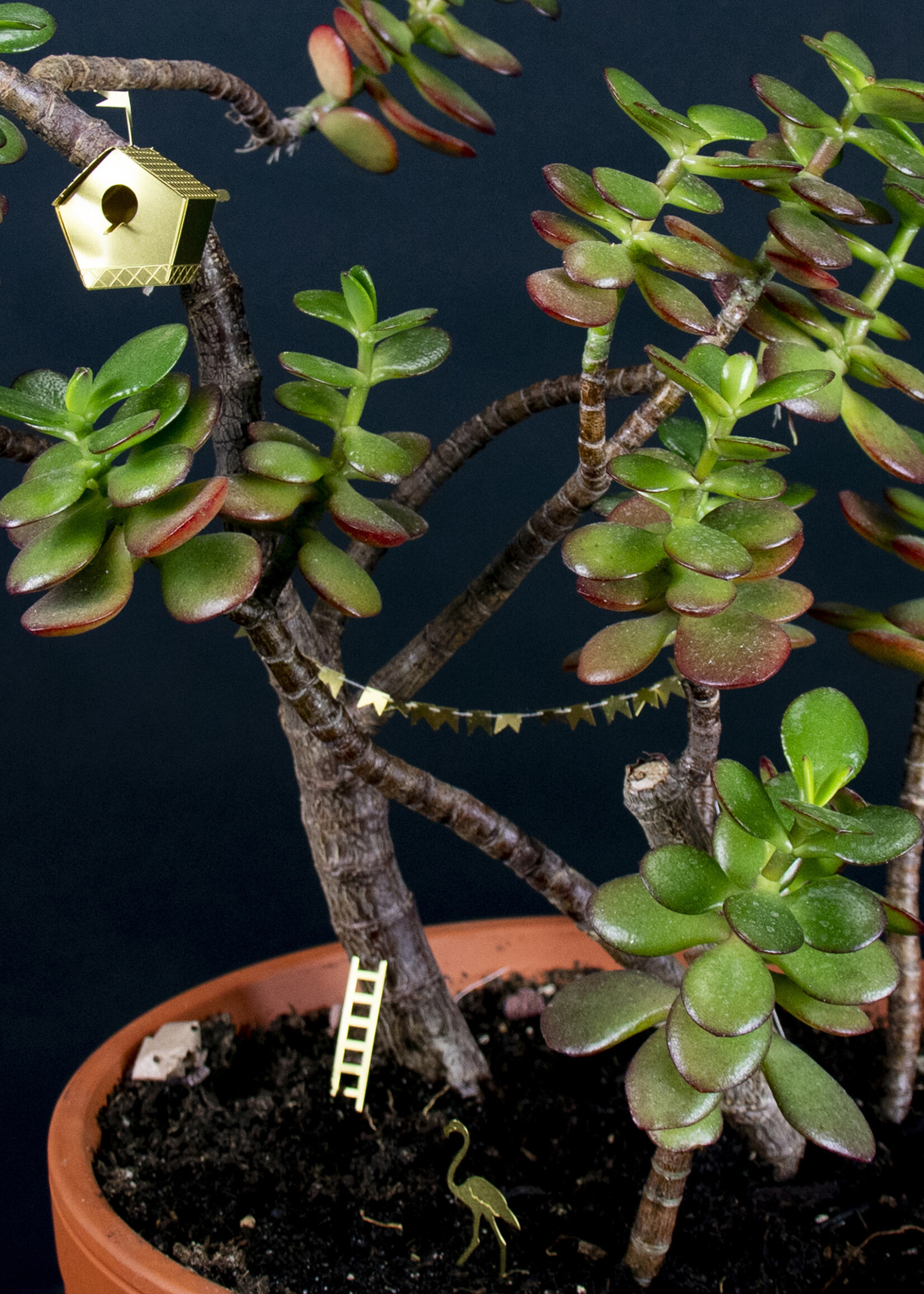 Botanopia Botanopia - Tiny Birdhouse