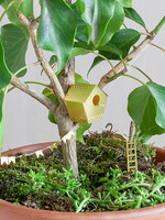 Botanopia Botanopia - Tiny Birdhouse