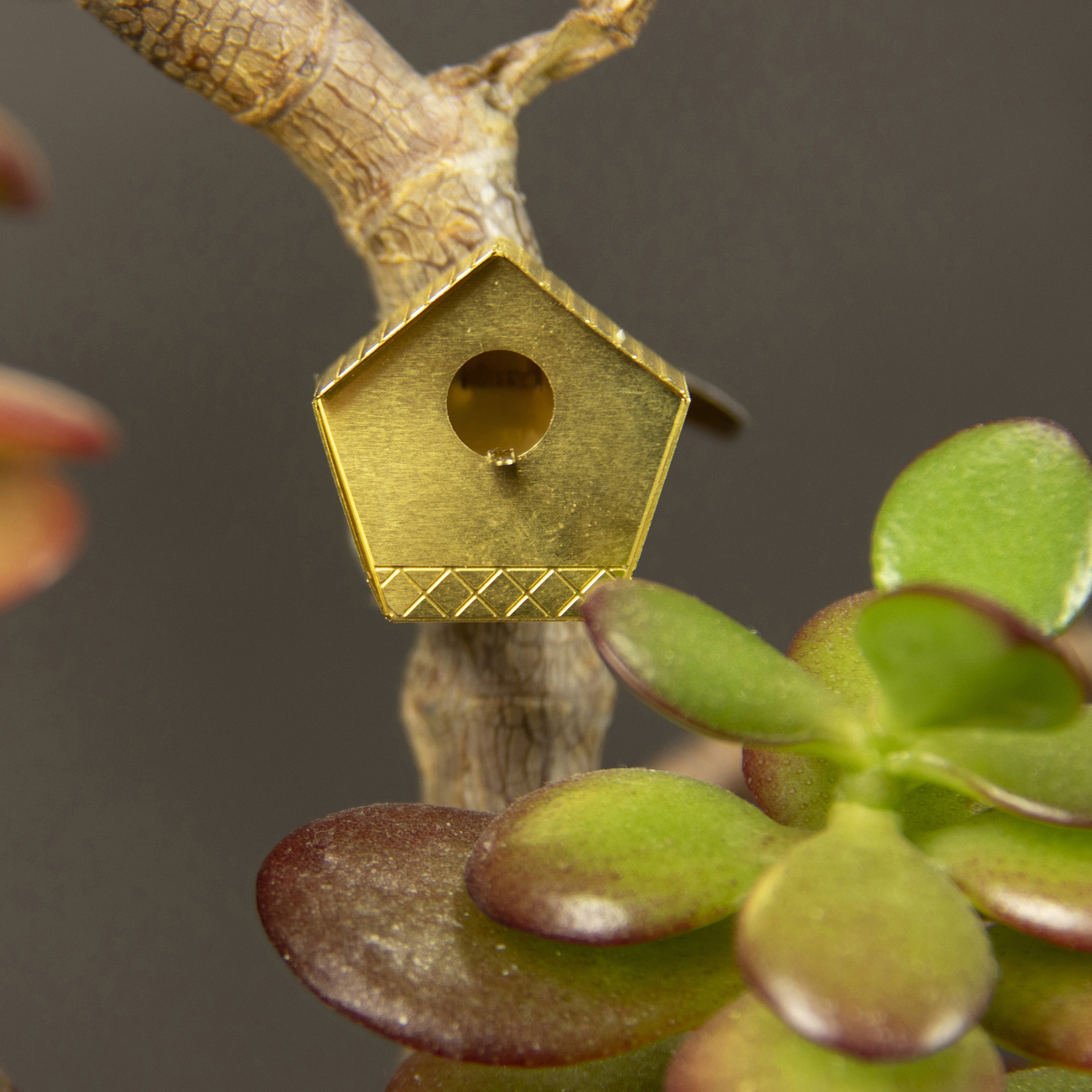 Botanopia Botanopia - Tiny Birdhouse