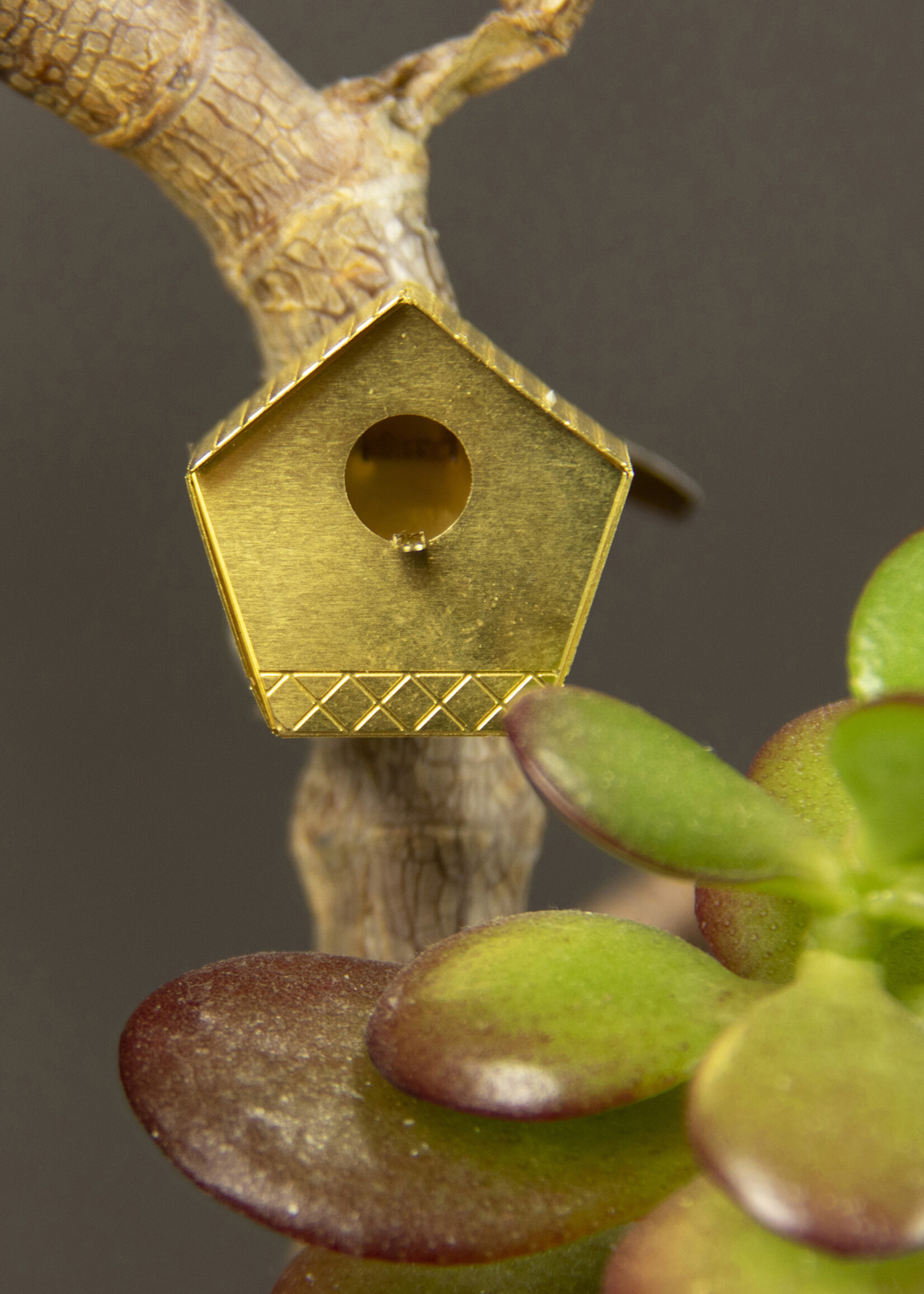 Botanopia Botanopia - Tiny Birdhouse