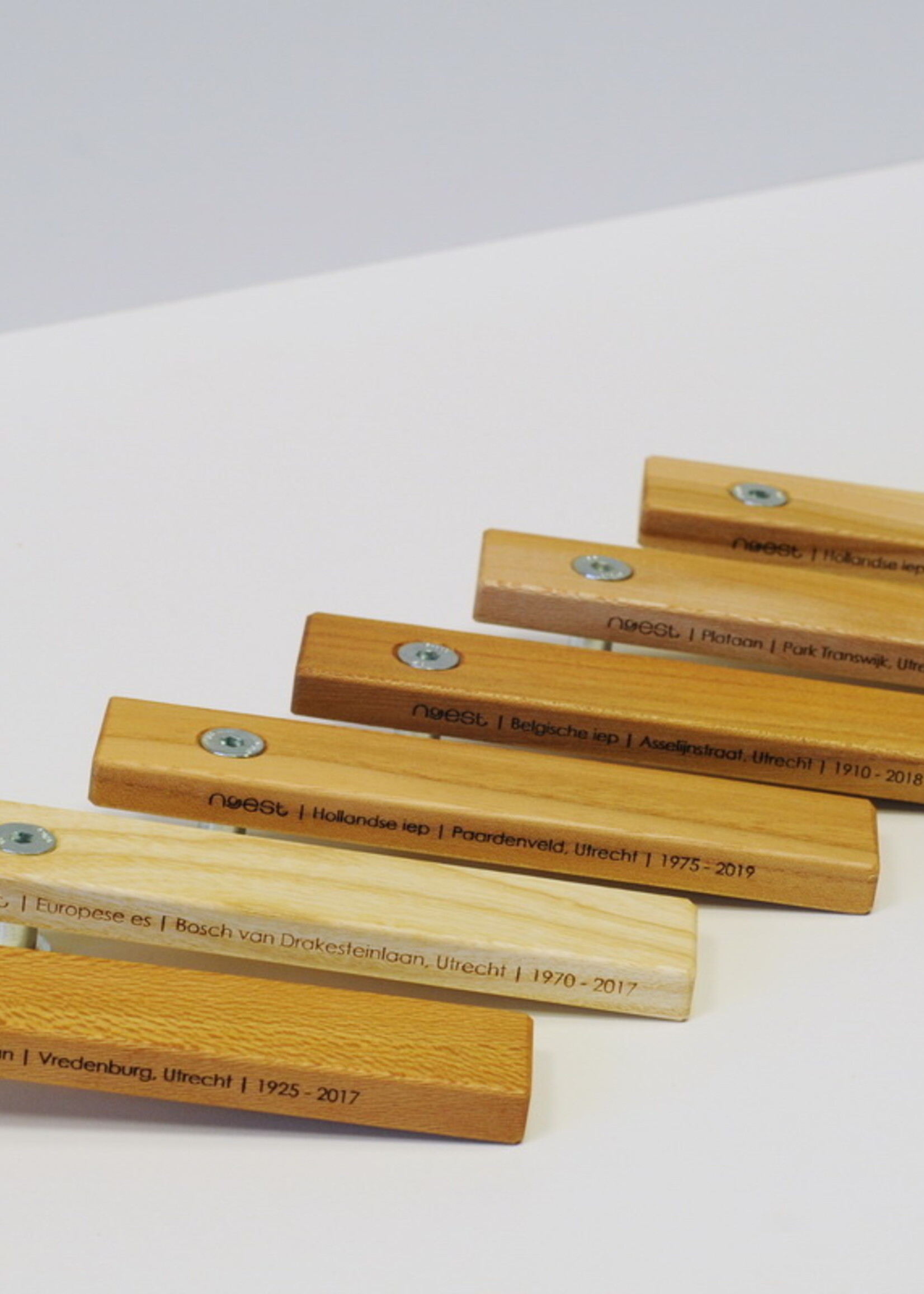 Noest Noest - Flesopener