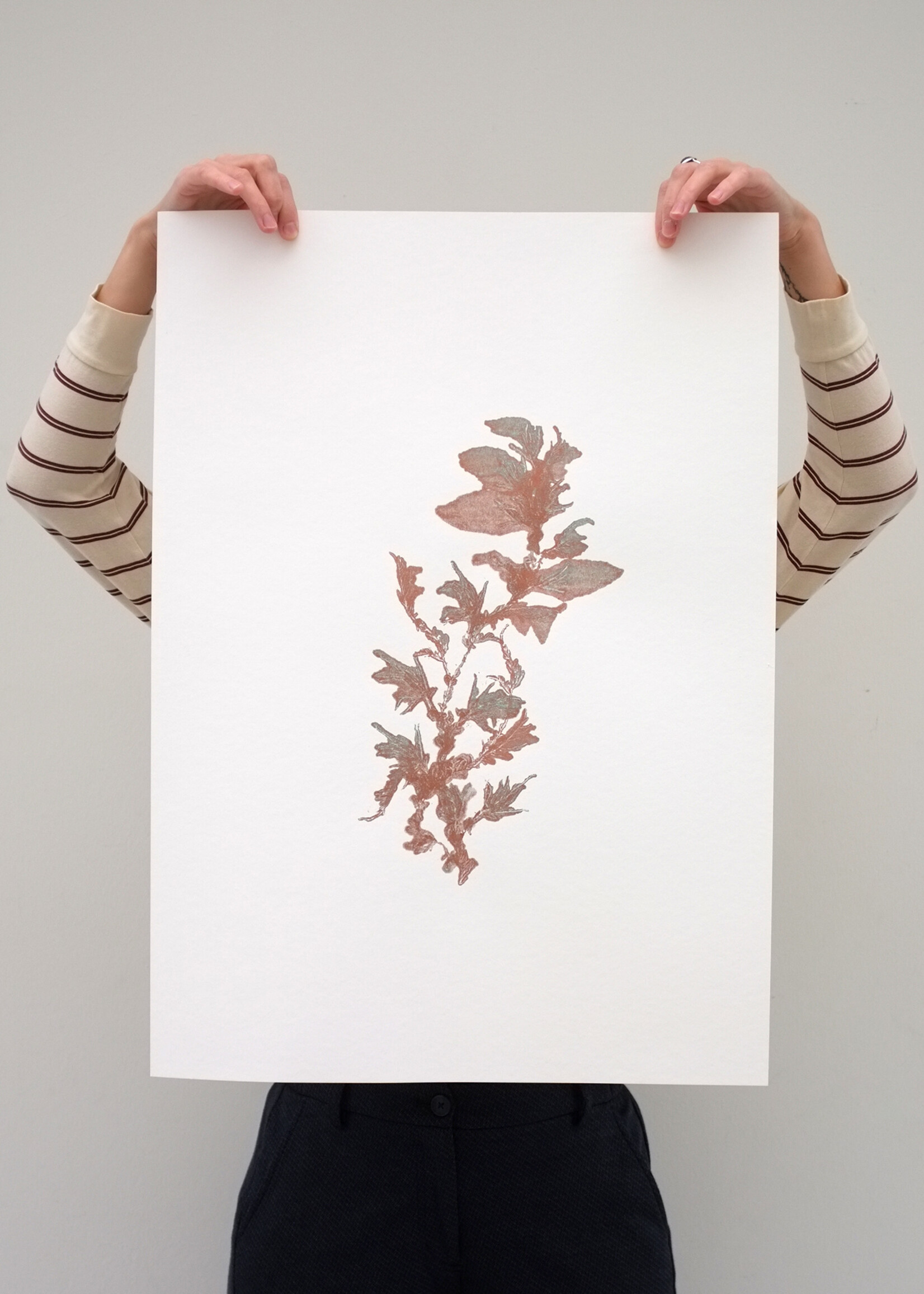 Hinke Weikamp Hinke Weikamp - Print 'Encyclopedia of Newfound Plants'