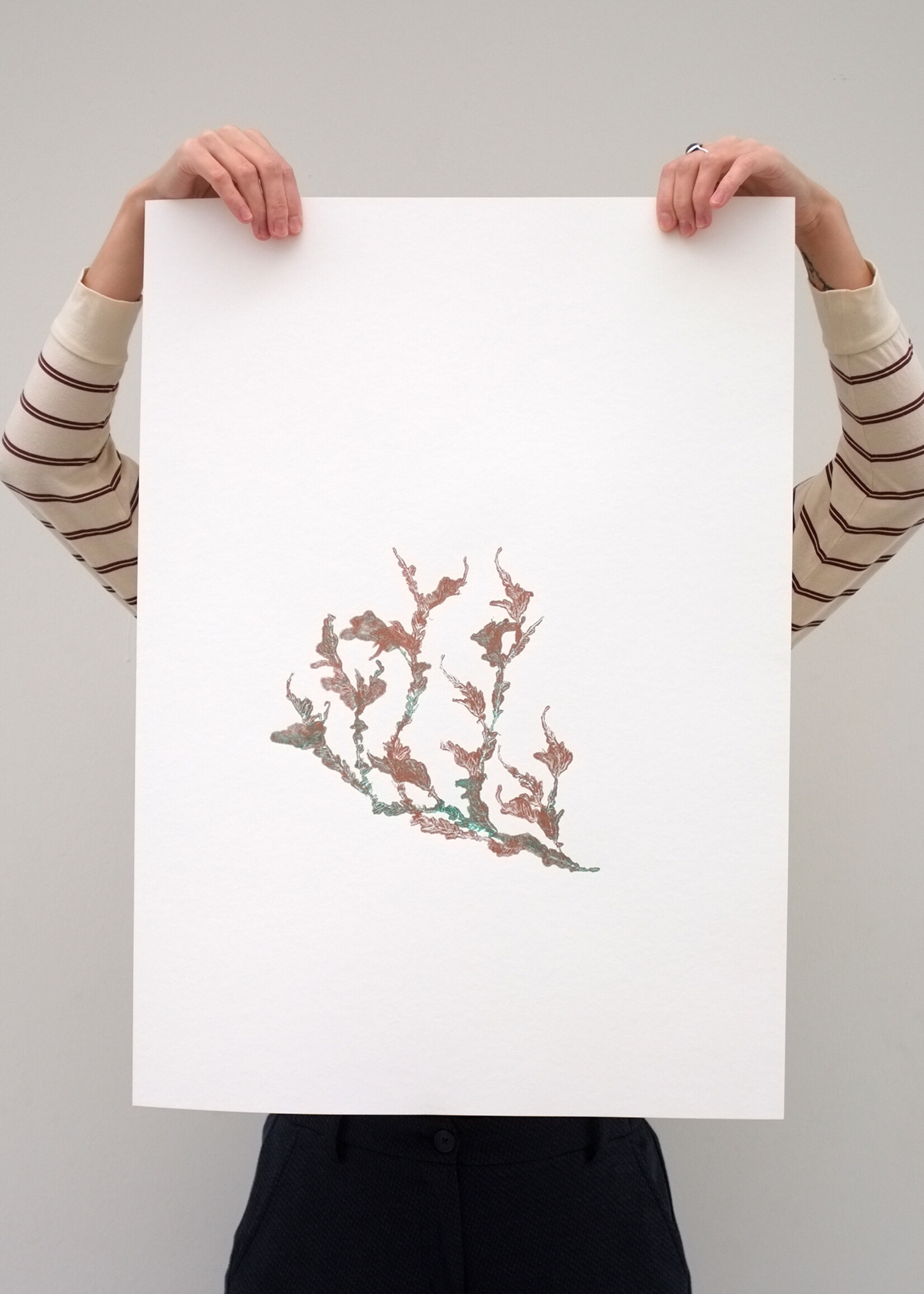 Hinke Weikamp Hinke Weikamp - Print 'Encyclopedia of Newfound Plants'