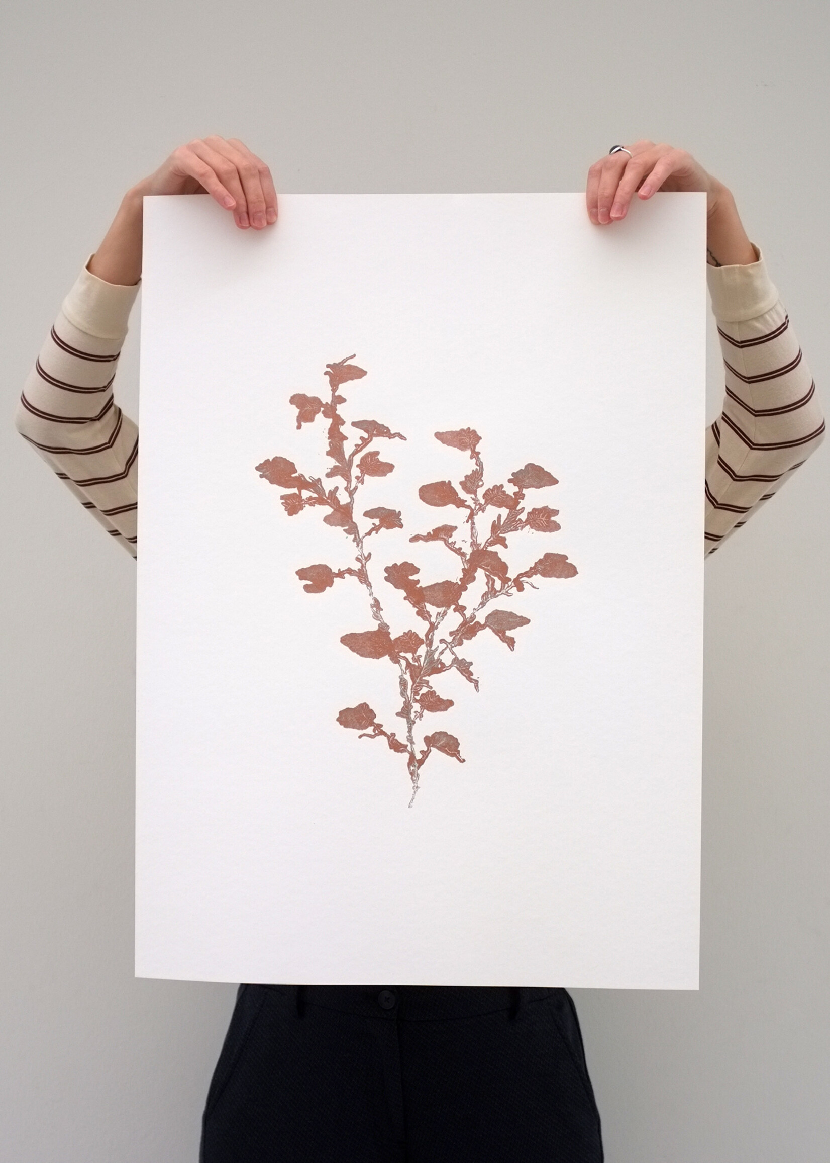 Hinke Weikamp Hinke Weikamp - Print 'Encyclopedia of Newfound Plants'