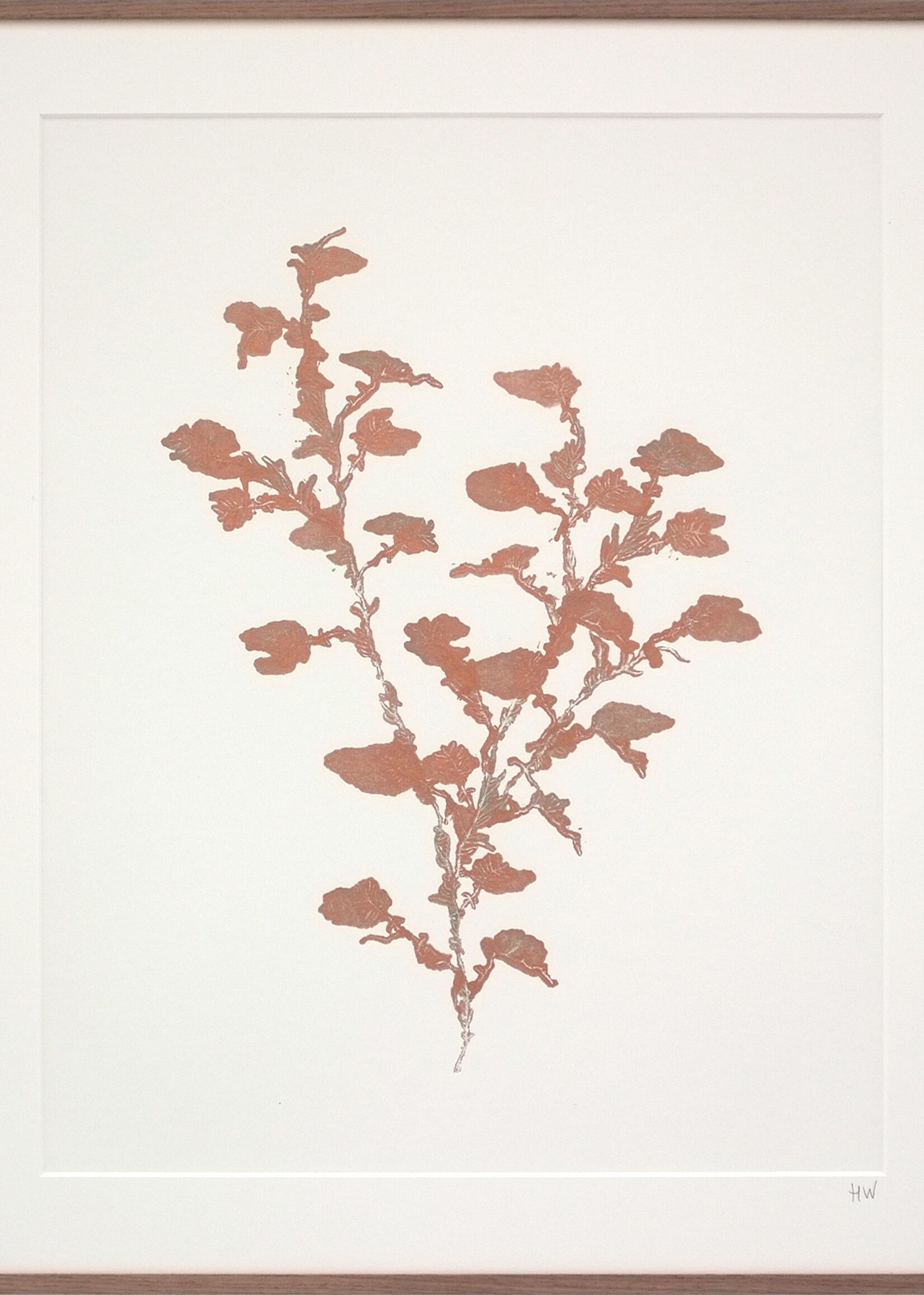 Hinke Weikamp Hinke Weikamp - Print 'Encyclopedia of Newfound Plants'