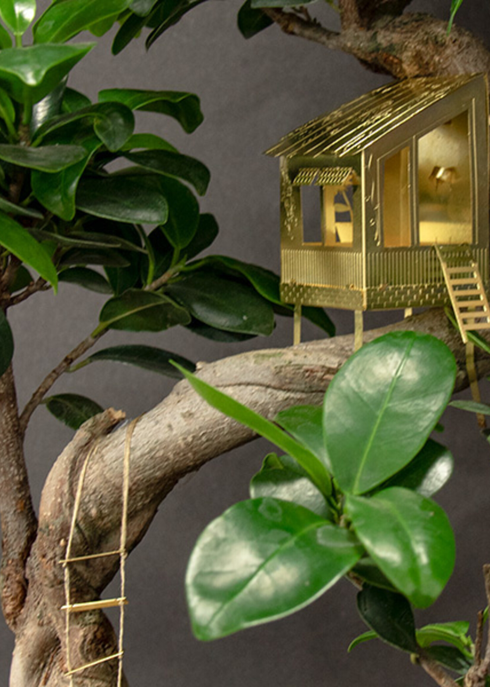 Botanopia Botanopia - Tiny Treehouse