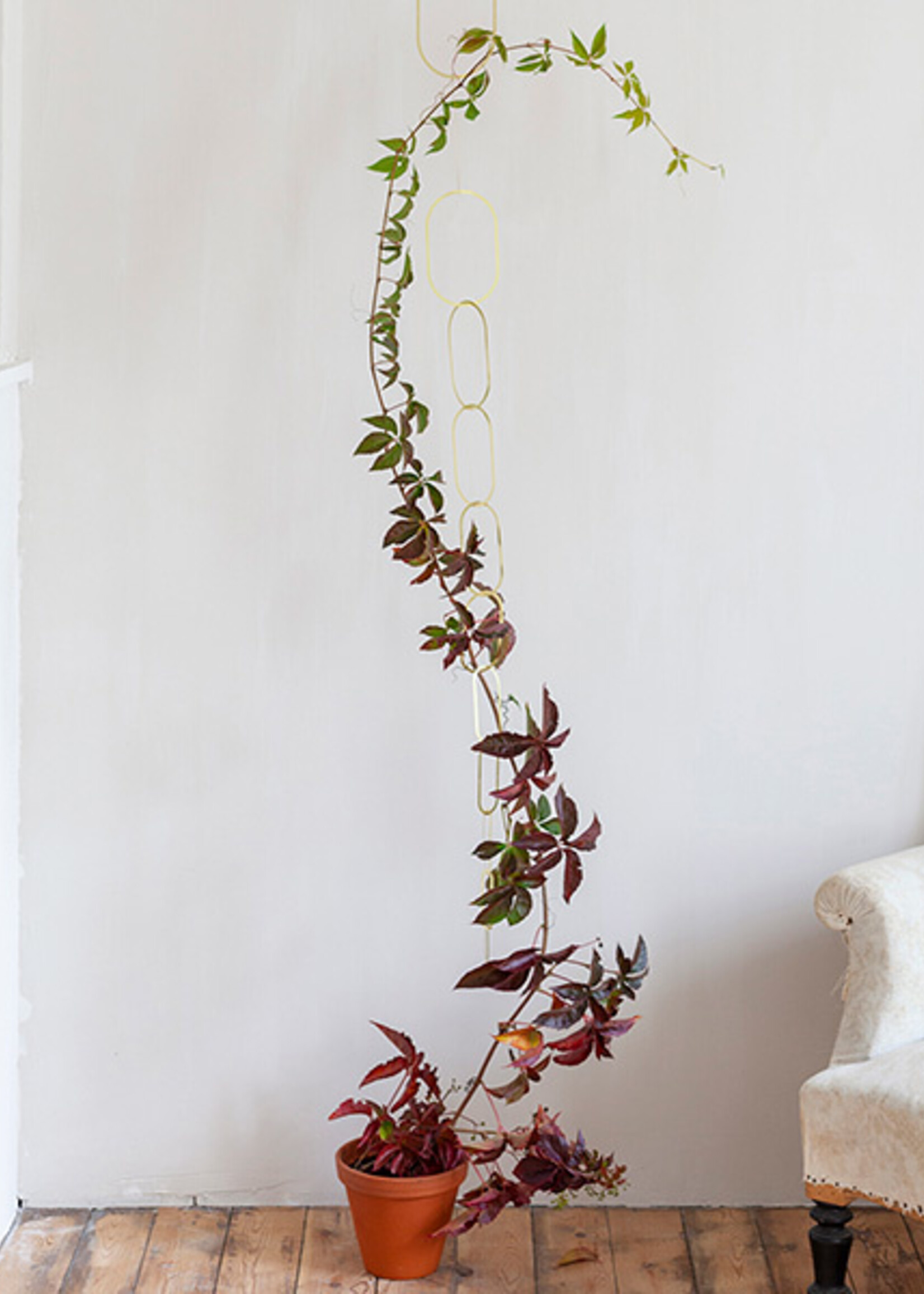 Botanopia Botanopia - Plantensteun