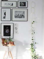 Botanopia Botanopia - Plantensteun