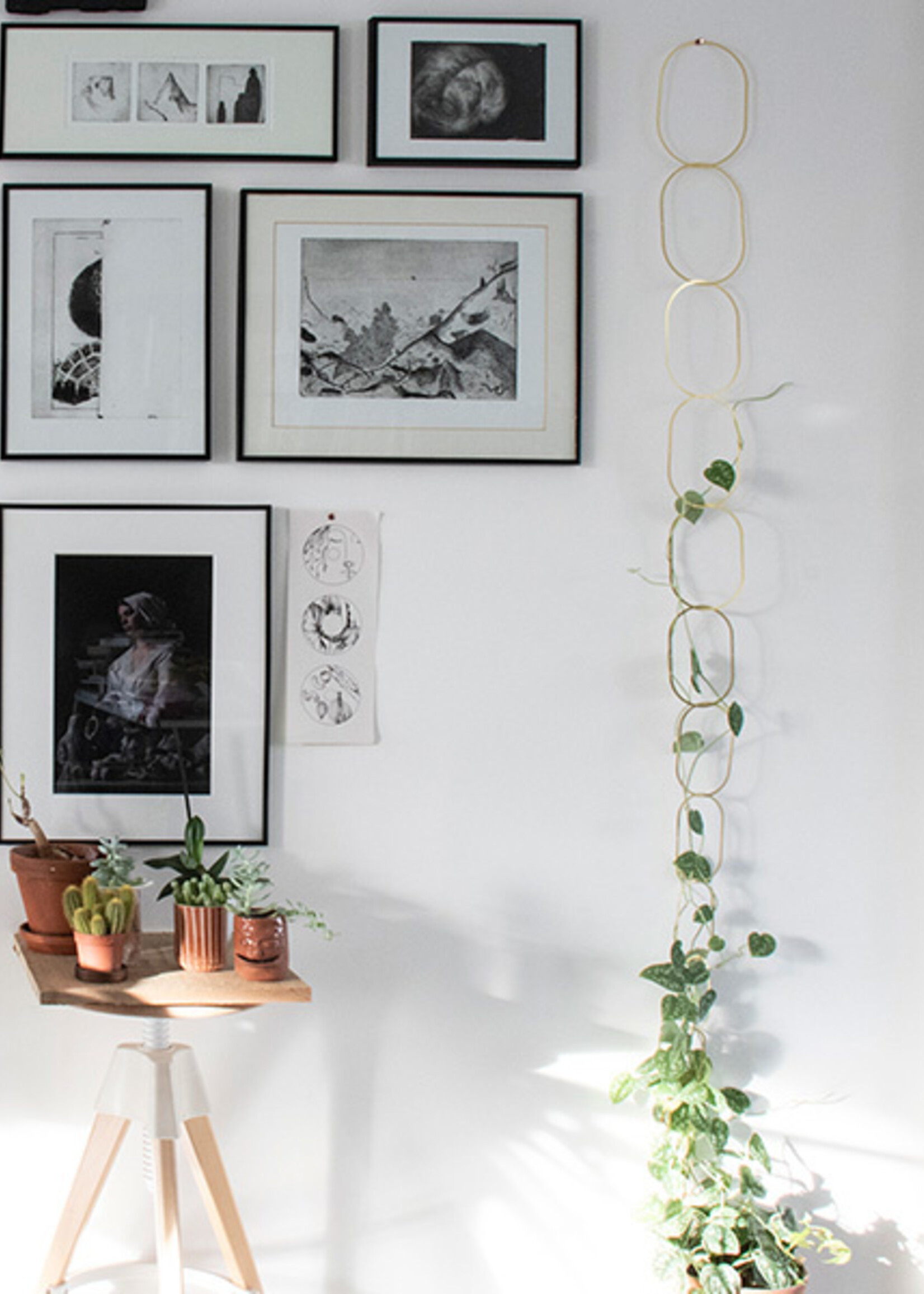 Botanopia Botanopia - Plantensteun