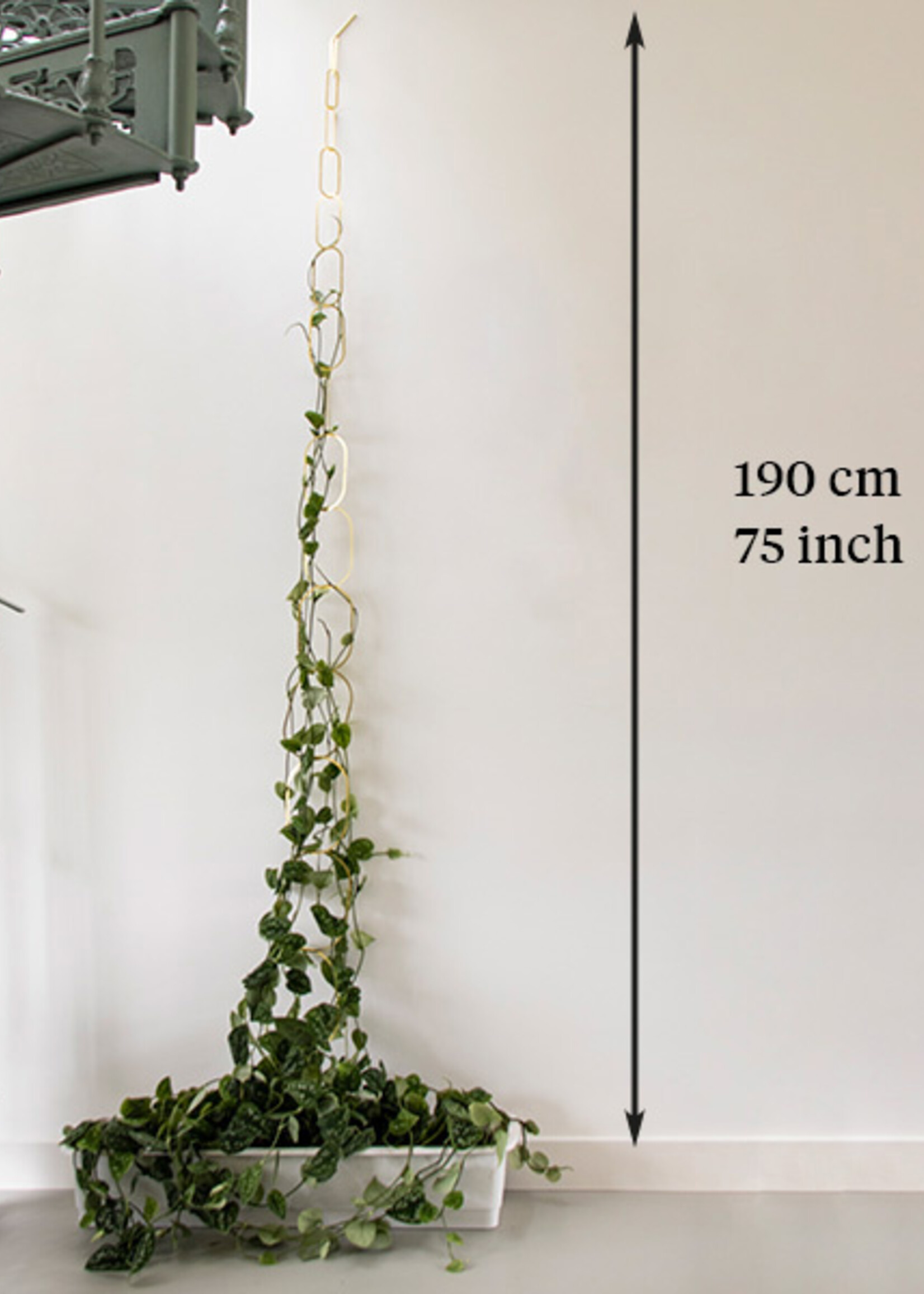 Botanopia Botanopia - Plantensteun