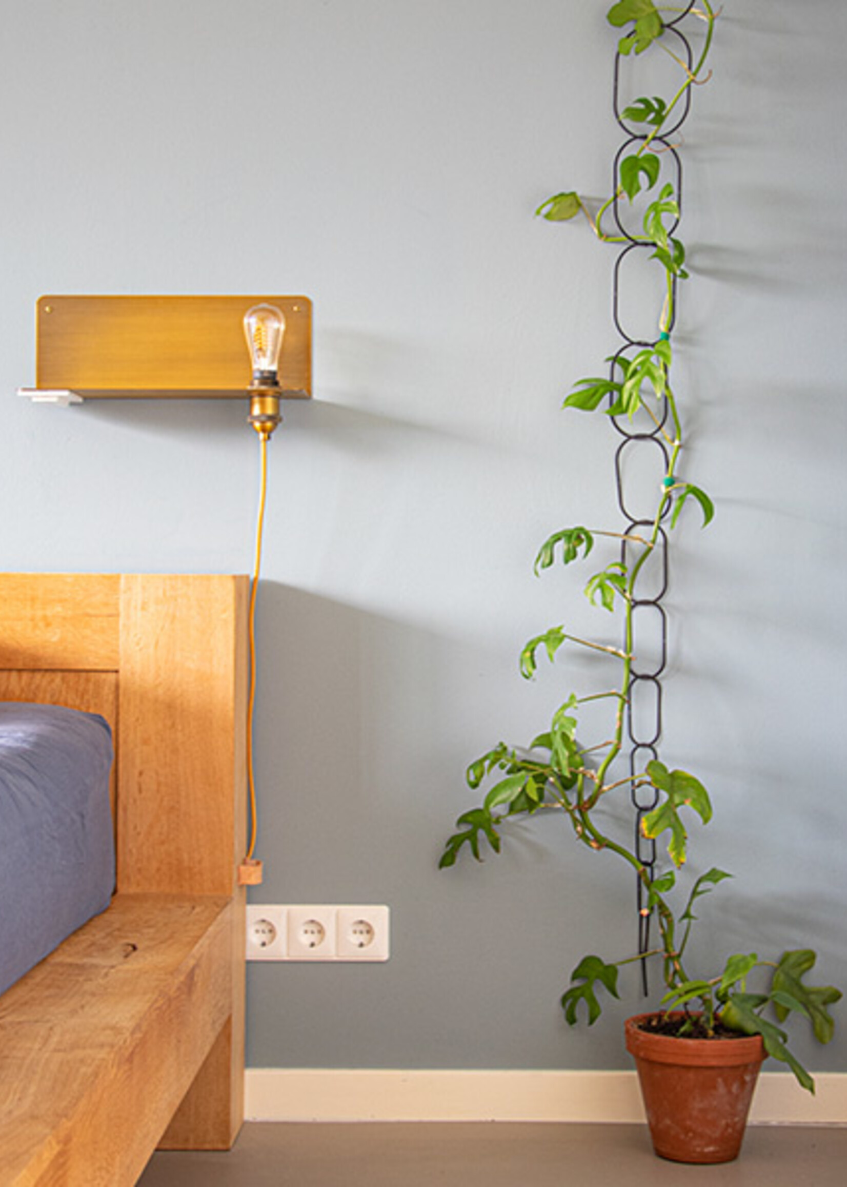 Botanopia Botanopia - Plantensteun