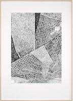 Hinke Weikamp Hinke Weikamp - Monoprint 70x100cm