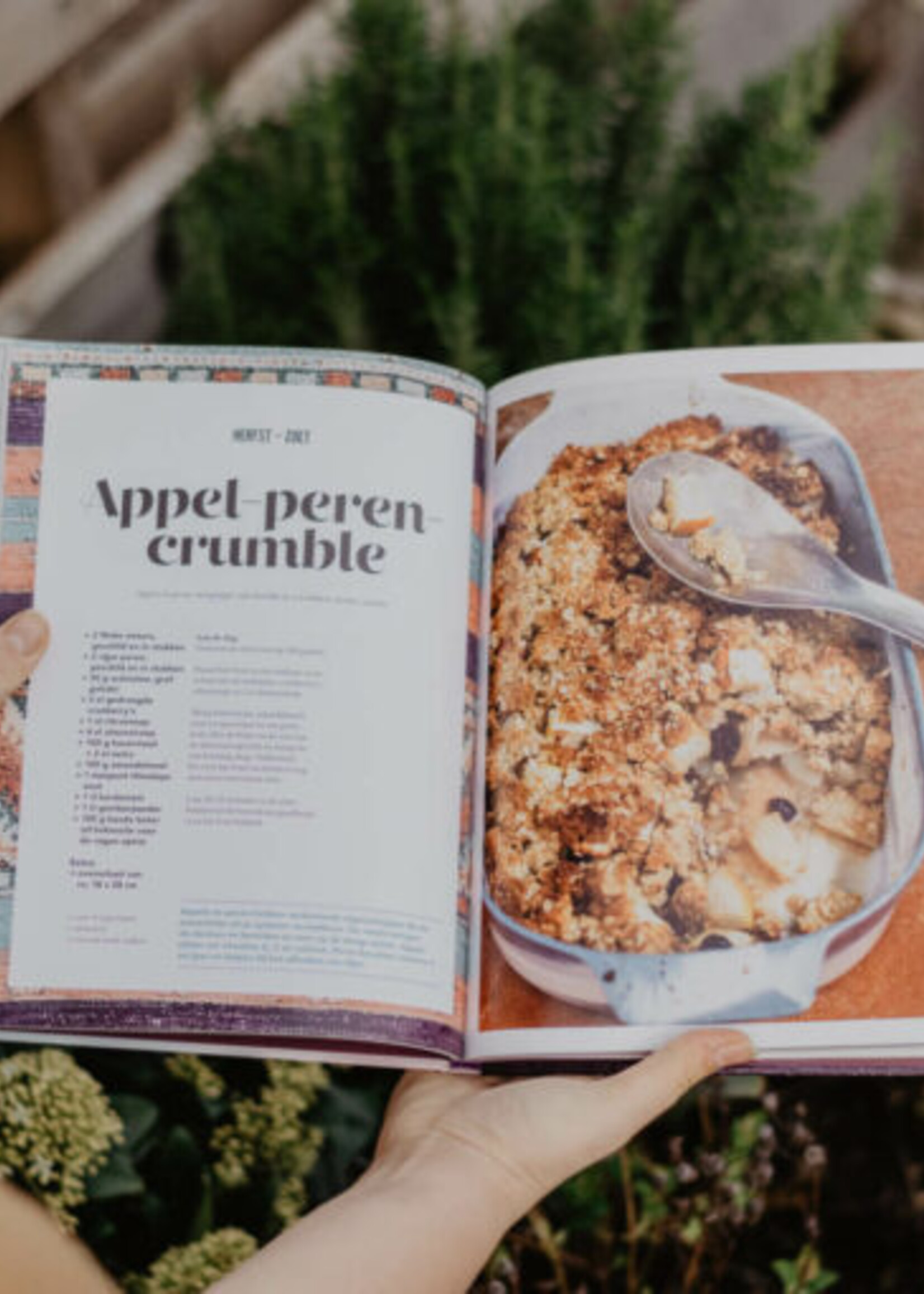 Snor Snor - Holy happy Belly - Herfst  en winter