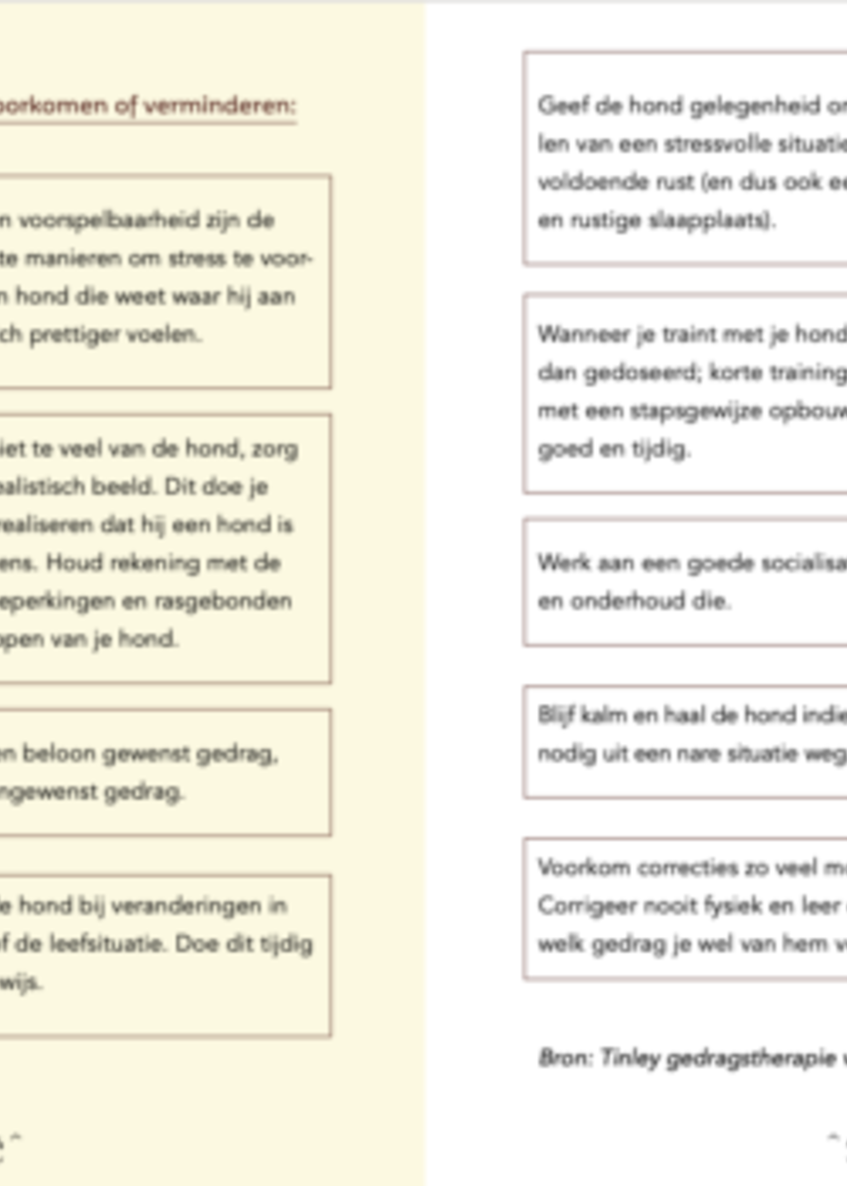 Snor Snor - Hondenbazen