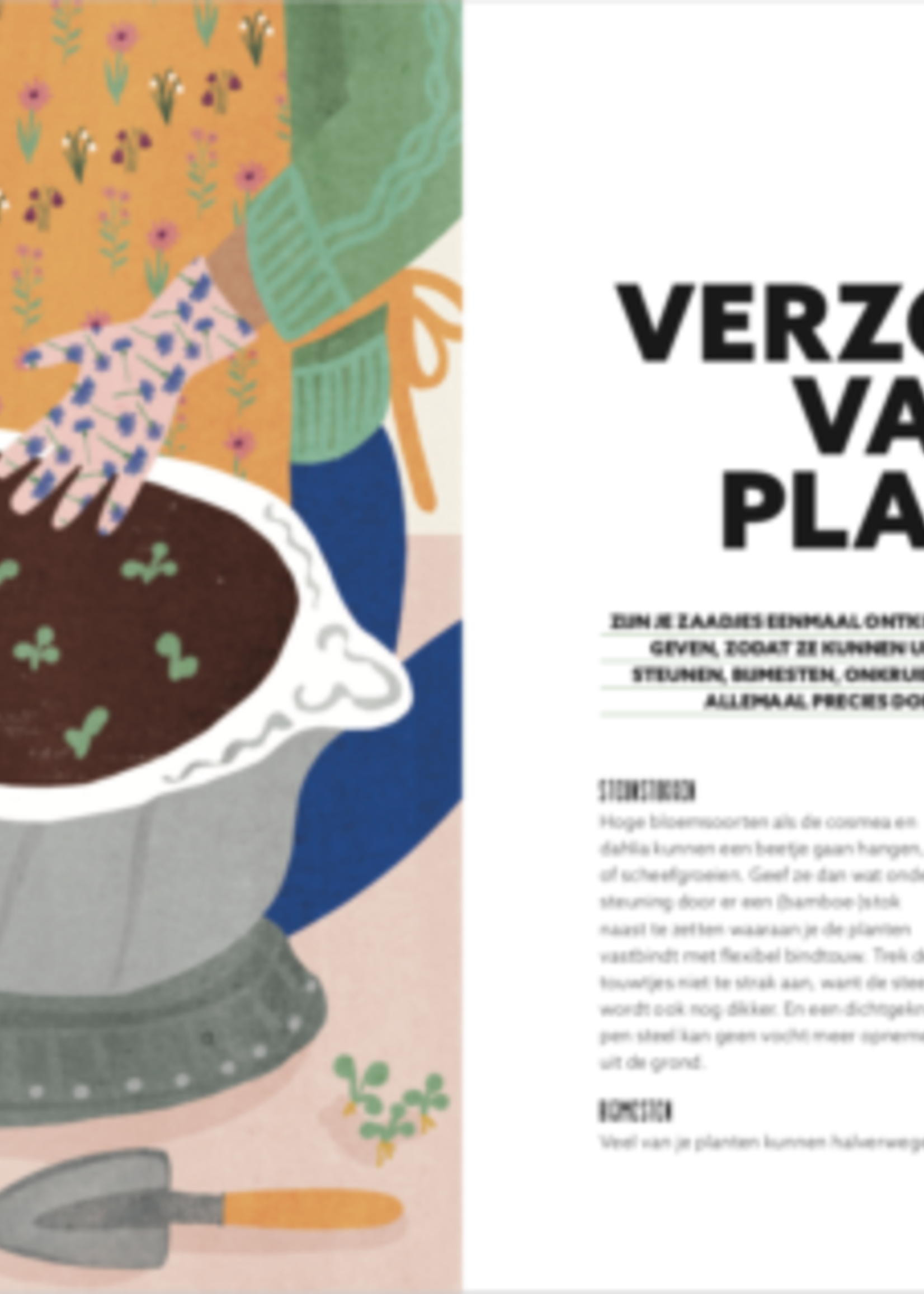 Snor Snor - Pluktuin