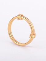 Charlotte Wooning Charlotte Wooning - Ring of the Guilds