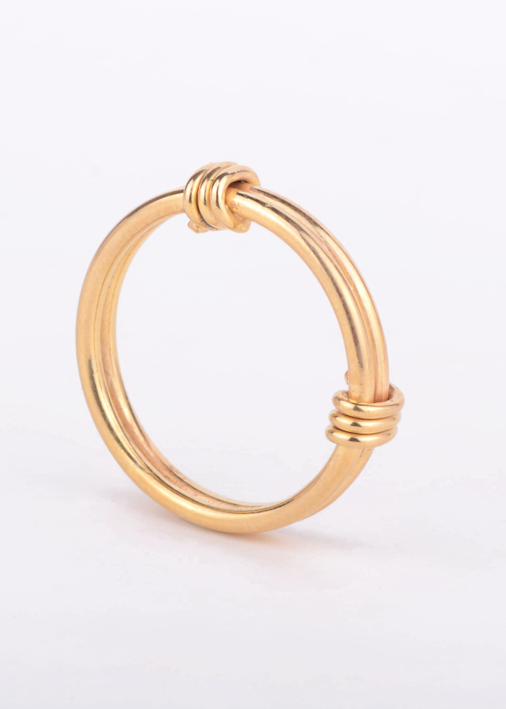 Charlotte Wooning Charlotte Wooning - Ring of the Guilds