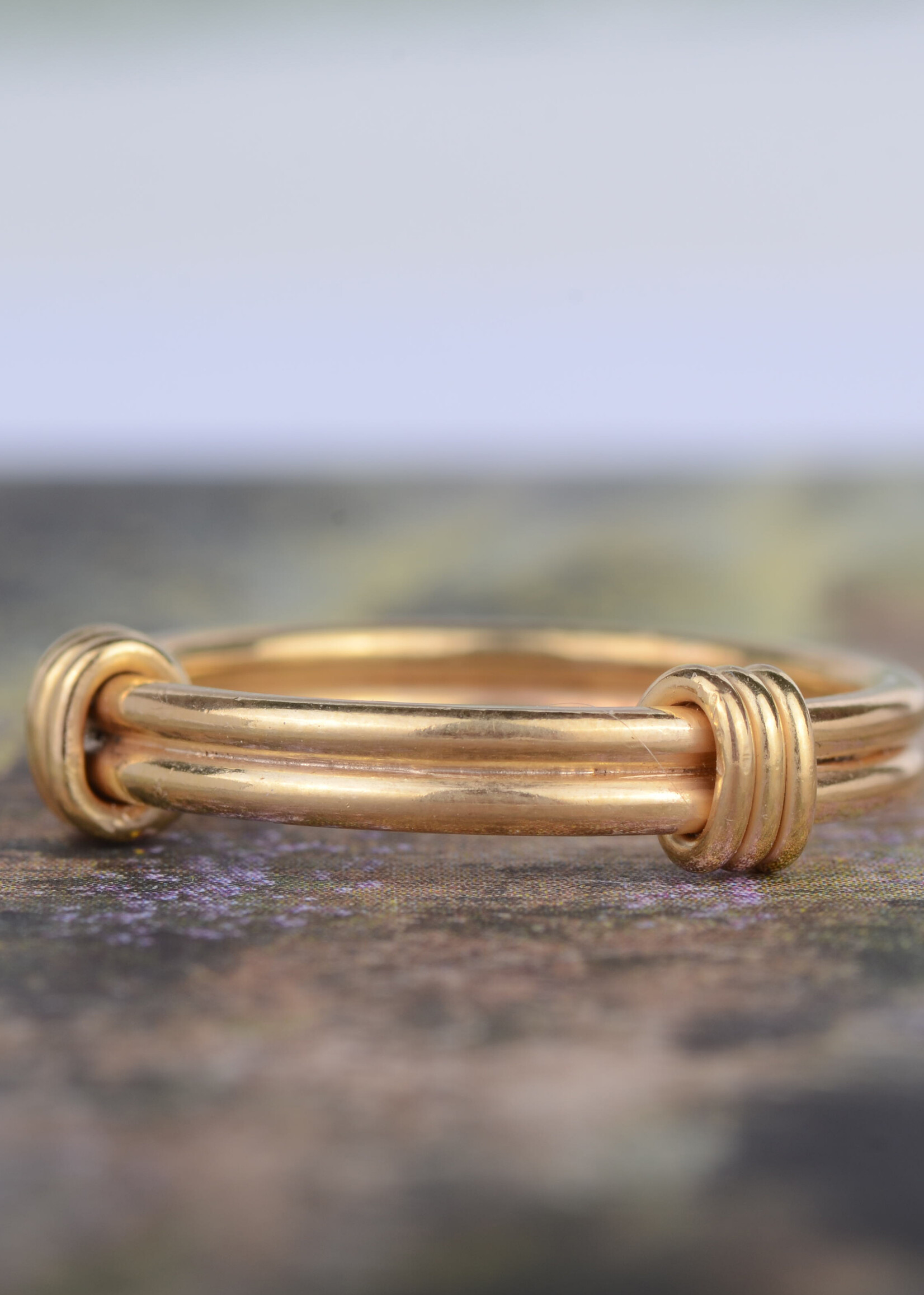 Charlotte Wooning Charlotte Wooning - Ring of the Guilds