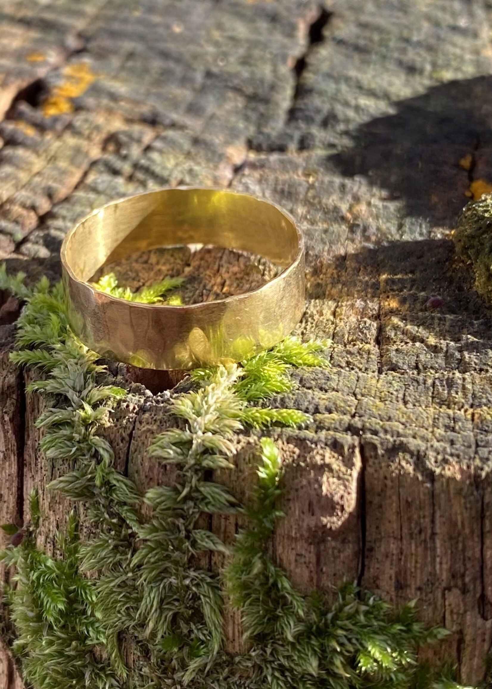 Charlotte Wooning Charlotte Wooning - Ring Robin of Loxley