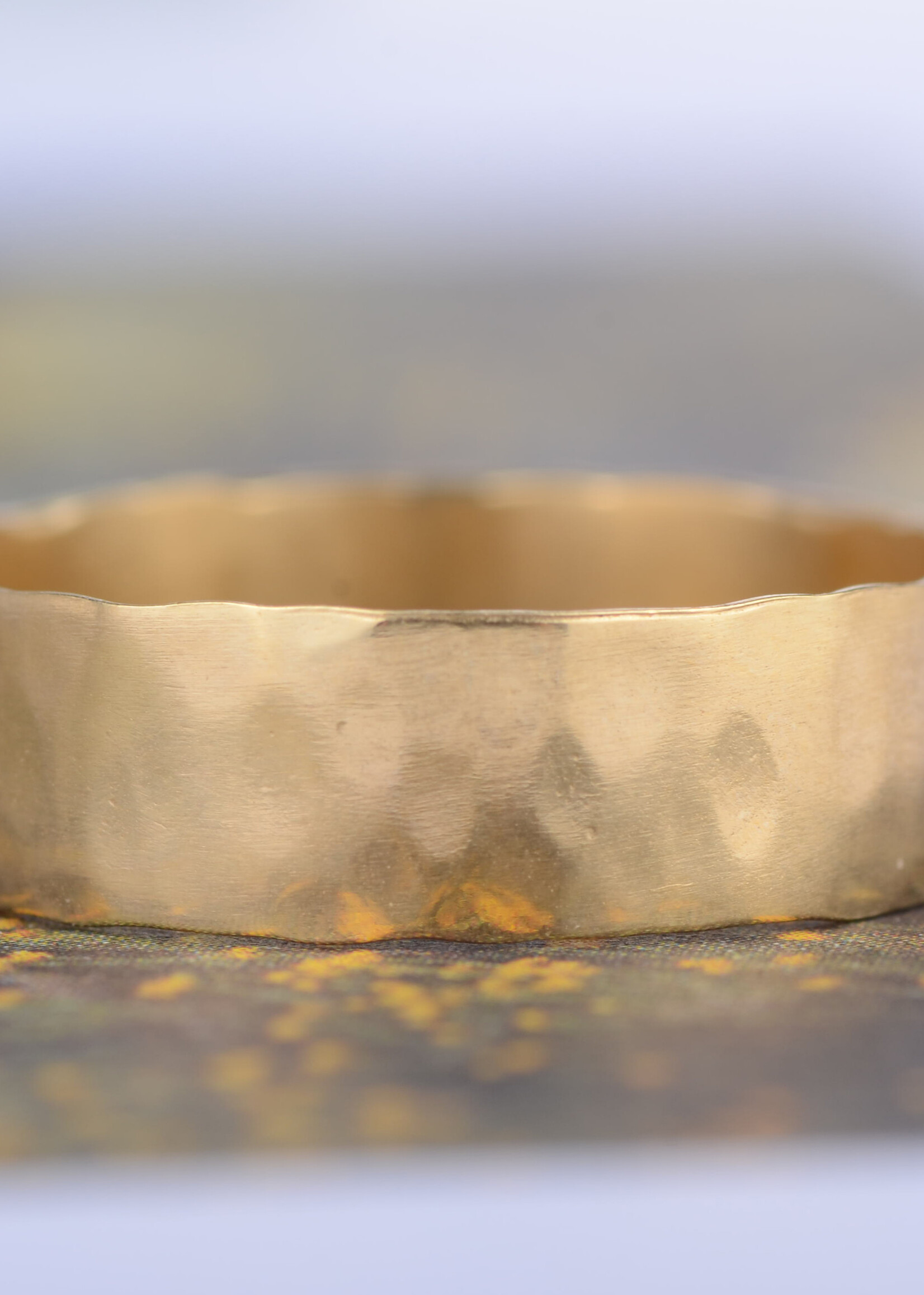 Charlotte Wooning Charlotte Wooning - Ring Robin of Loxley