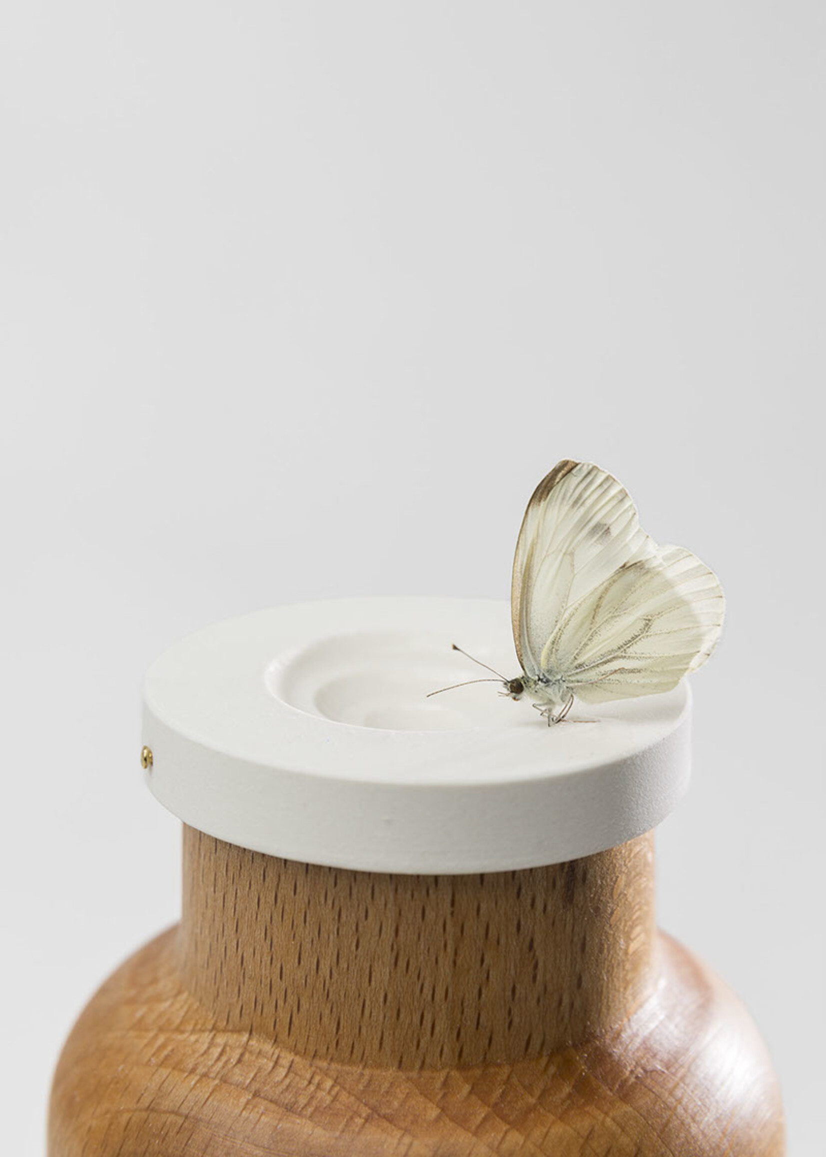 Dieter Volkers Dieter Volkers - Ladybird Bottle