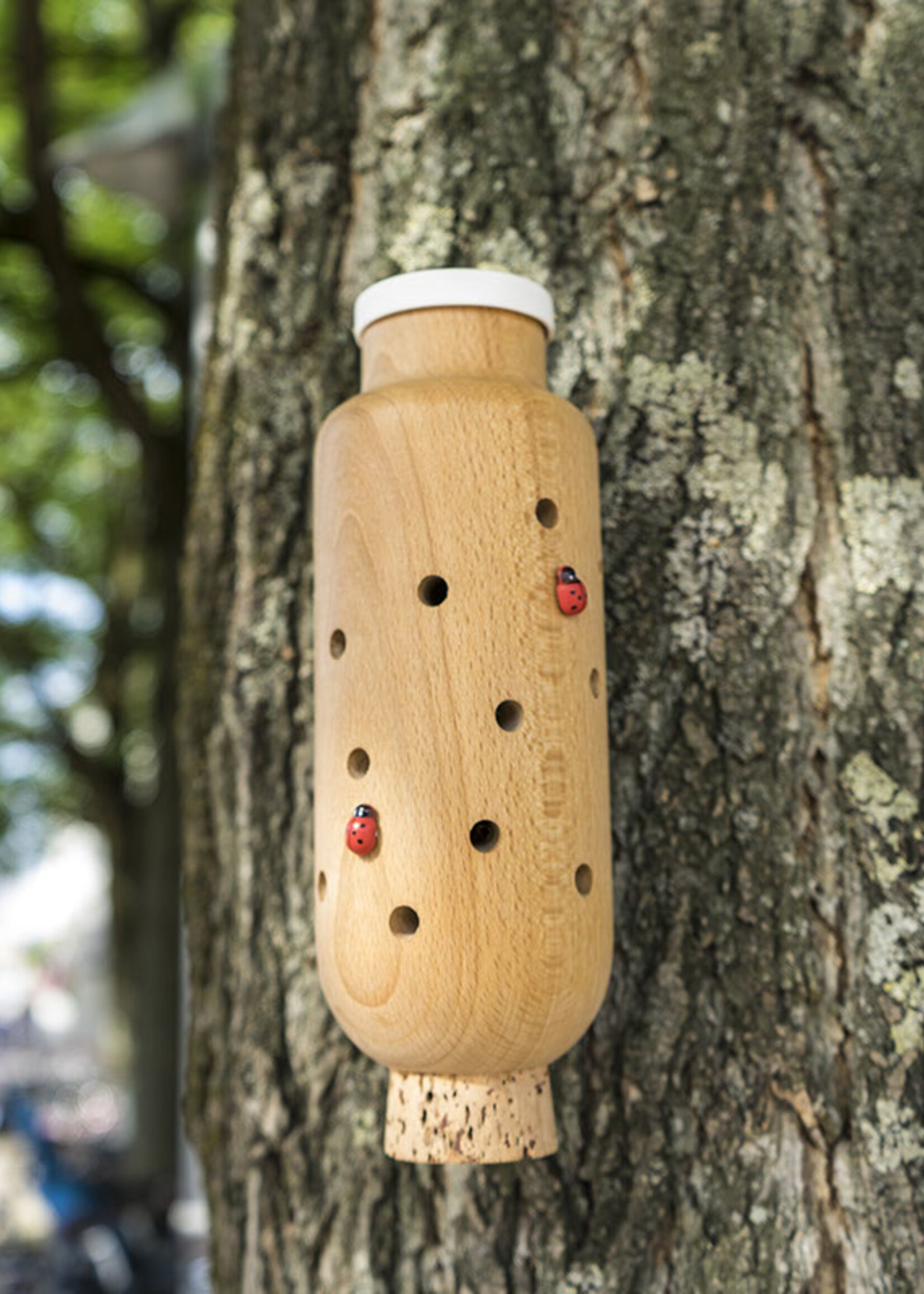 Dieter Volkers Dieter Volkers - Ladybird Bottle