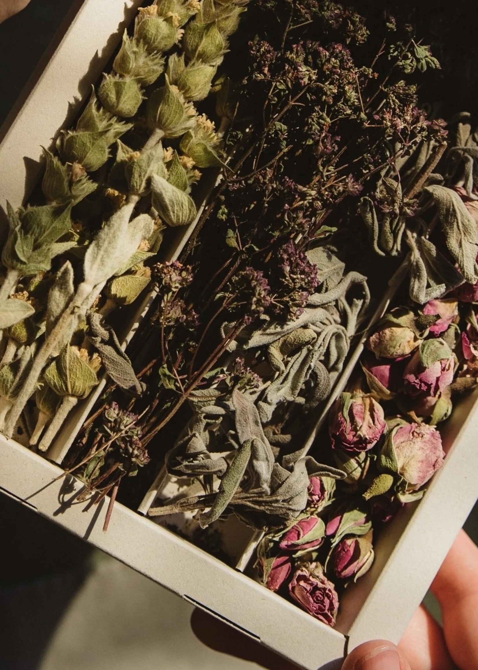 Lemon Poppy Lemon Poppy - Mountain Tea