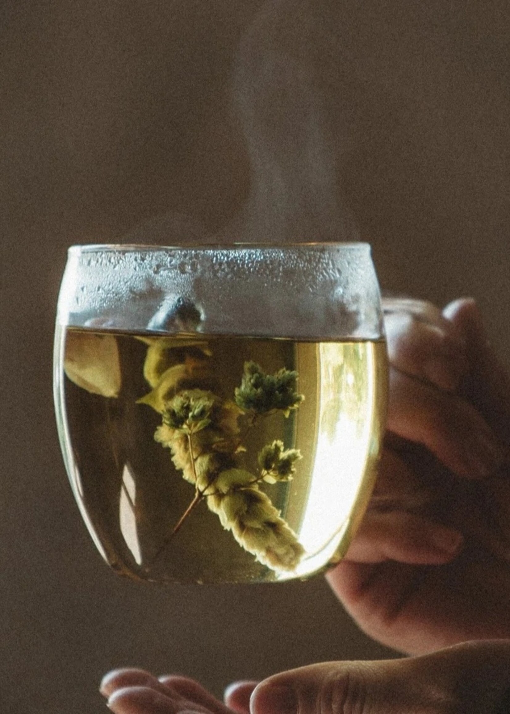 Lemon Poppy Lemon Poppy - Mountain Tea