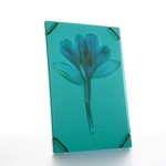 Carmela Bogman Flower Frame