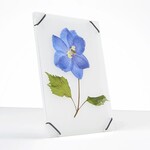 Carmela Bogman Flower Frame