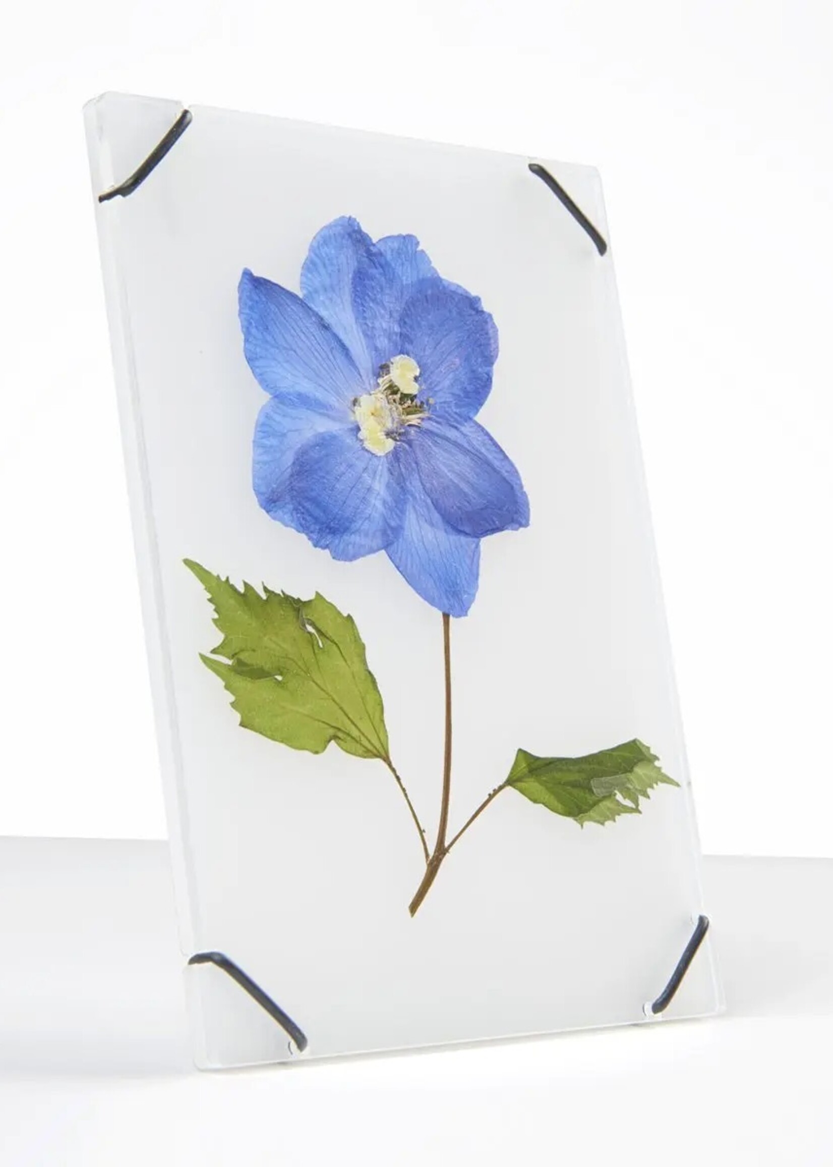 Carmela Bogman Flower Frame