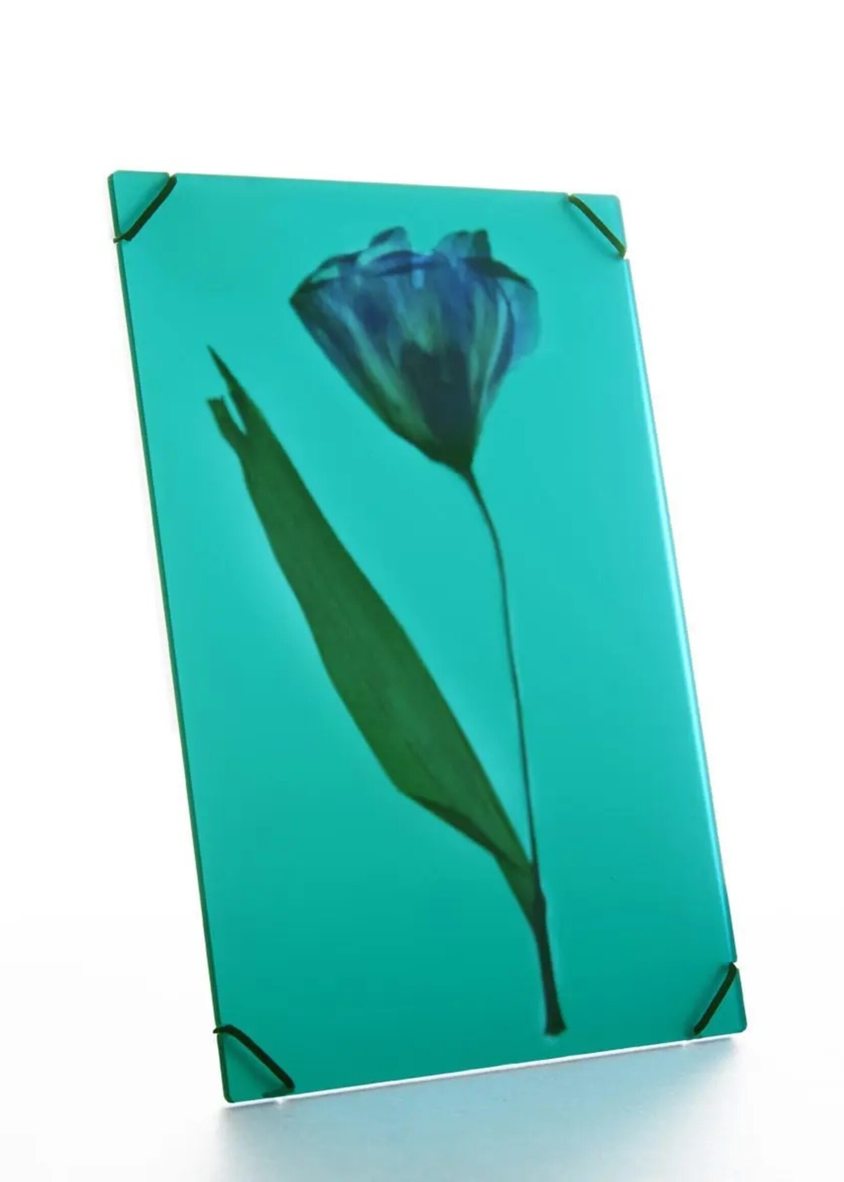 Carmela Bogman Flower Frame