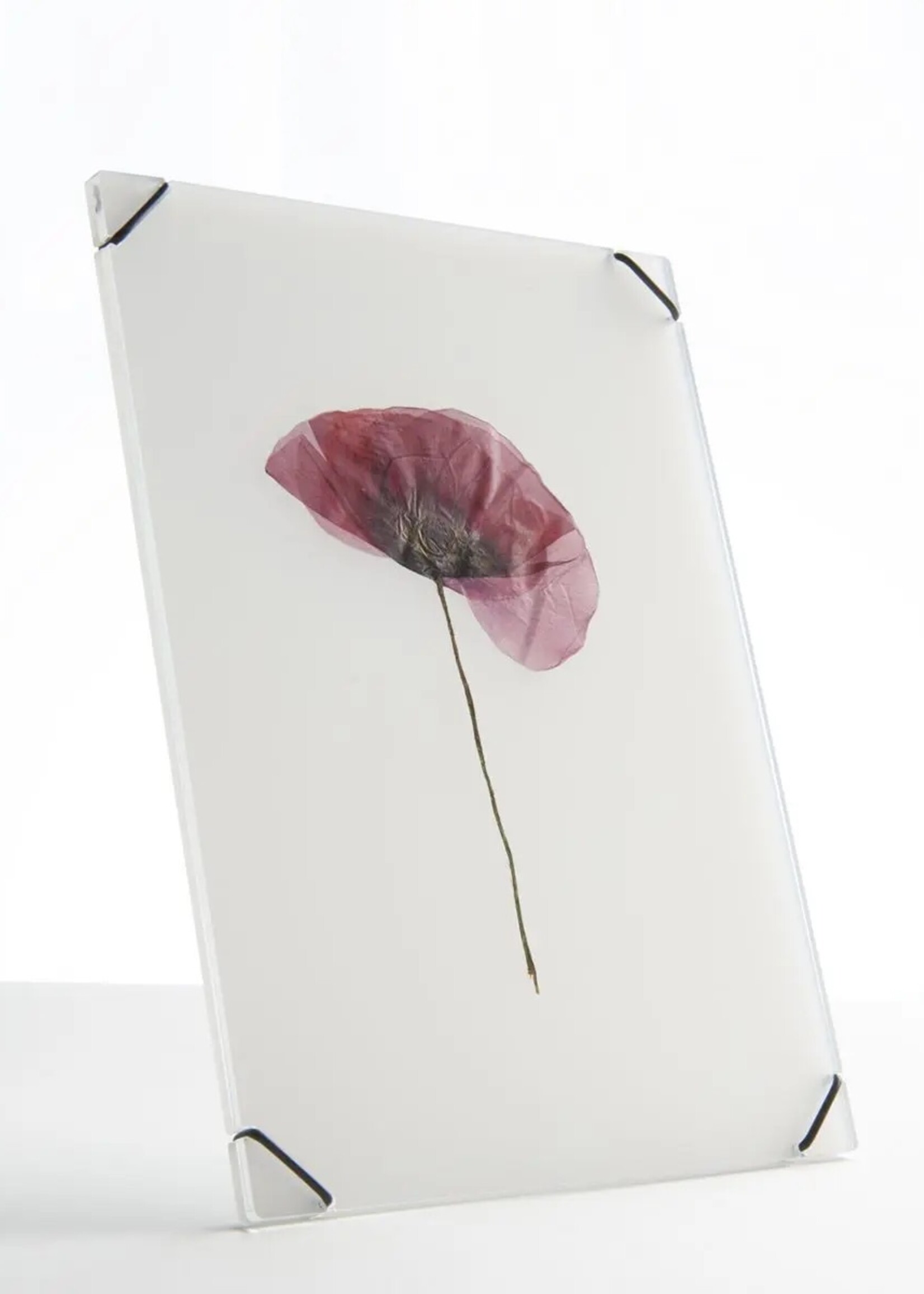 Carmela Bogman Flower Frame