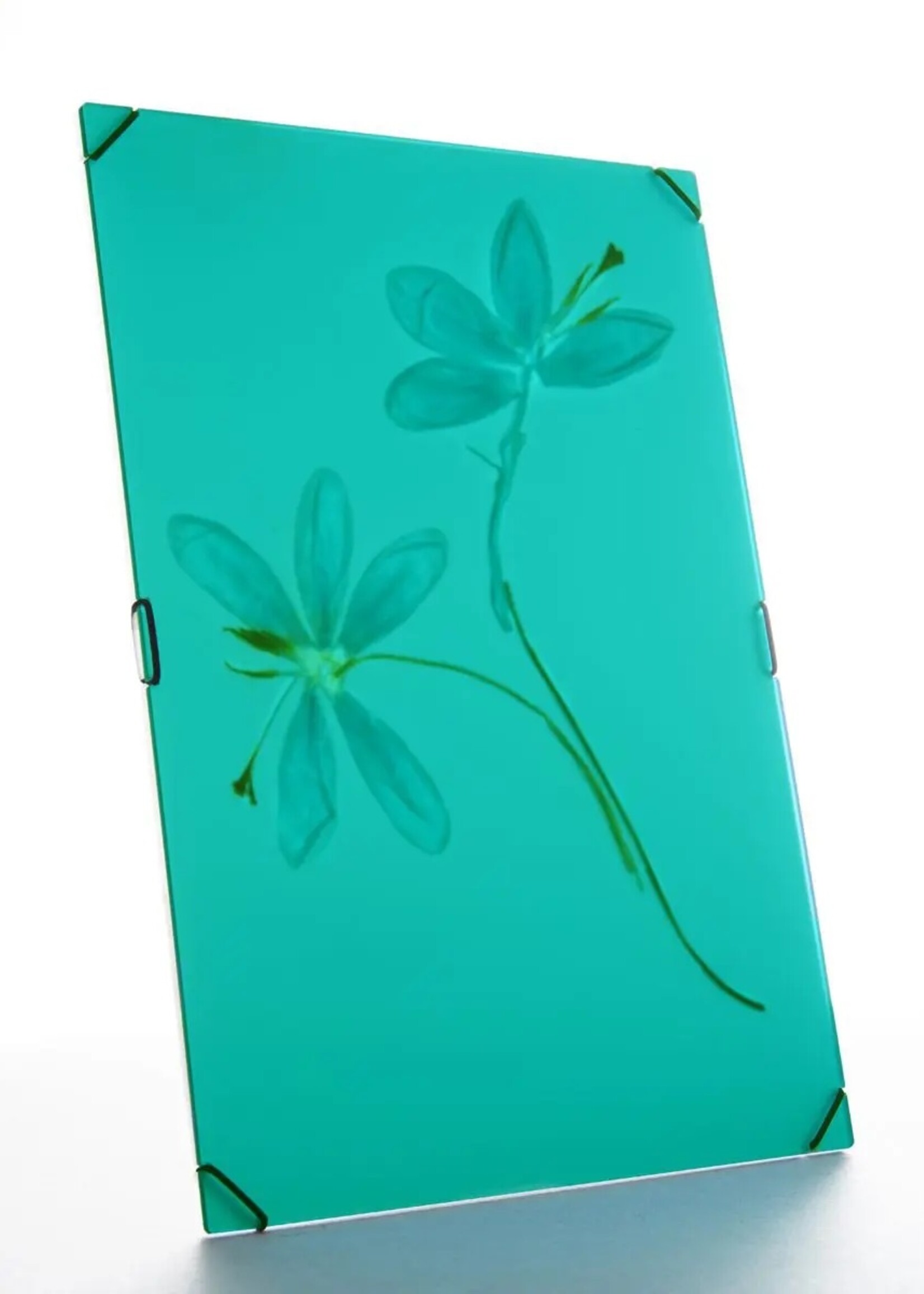 Carmela Bogman Flower Frame