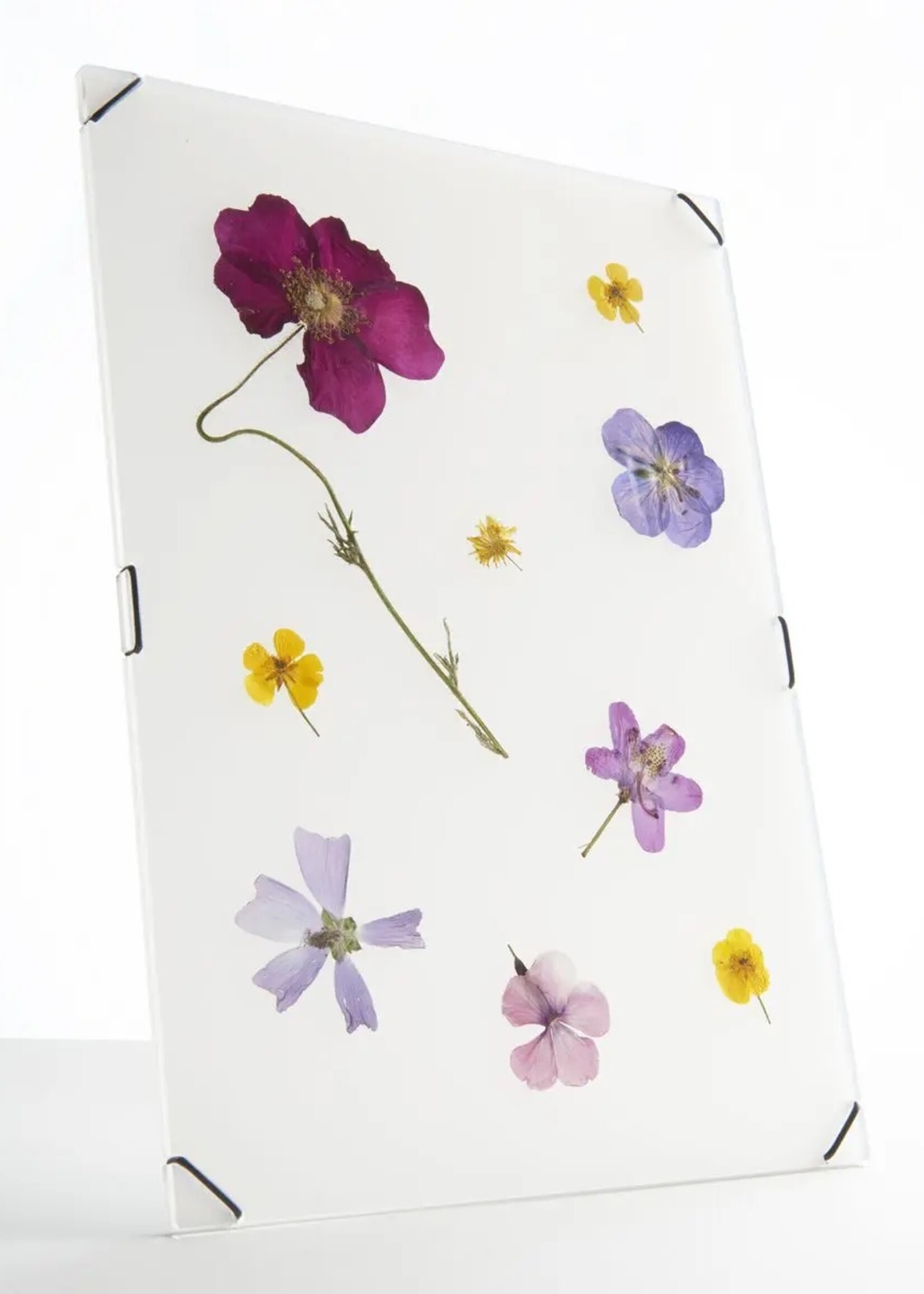 Carmela Bogman Flower Frame