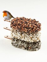 Carmela Bogman Dessert for birds - Dubbel