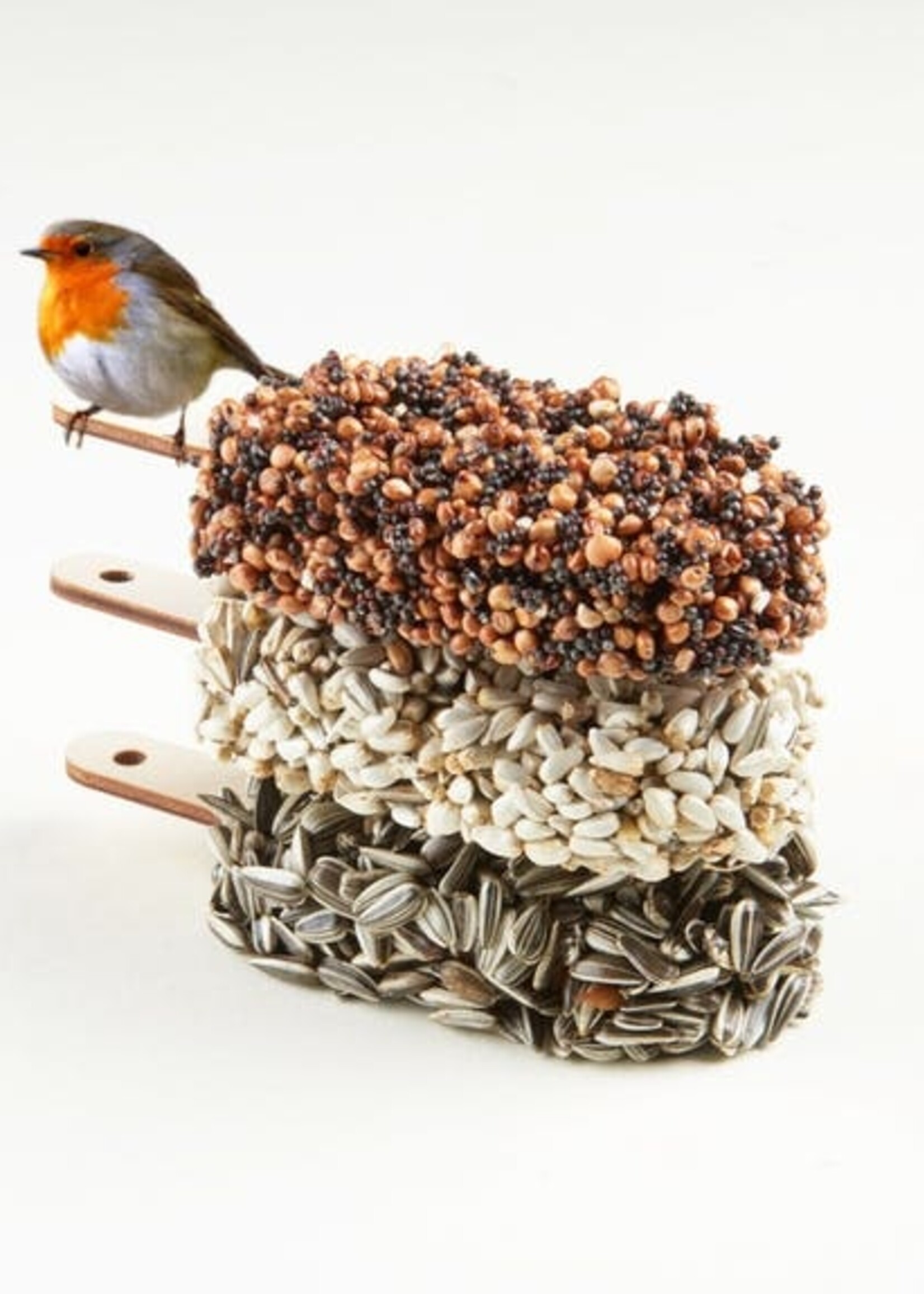 Carmela Bogman Dessert for birds - Dubbel