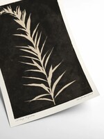 PSTR studio PSTR studio - Poster 'Solidago Gigantea II'