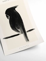 PSTR studio PSTR studio - Poster 'Birds of Freedom Bologna'