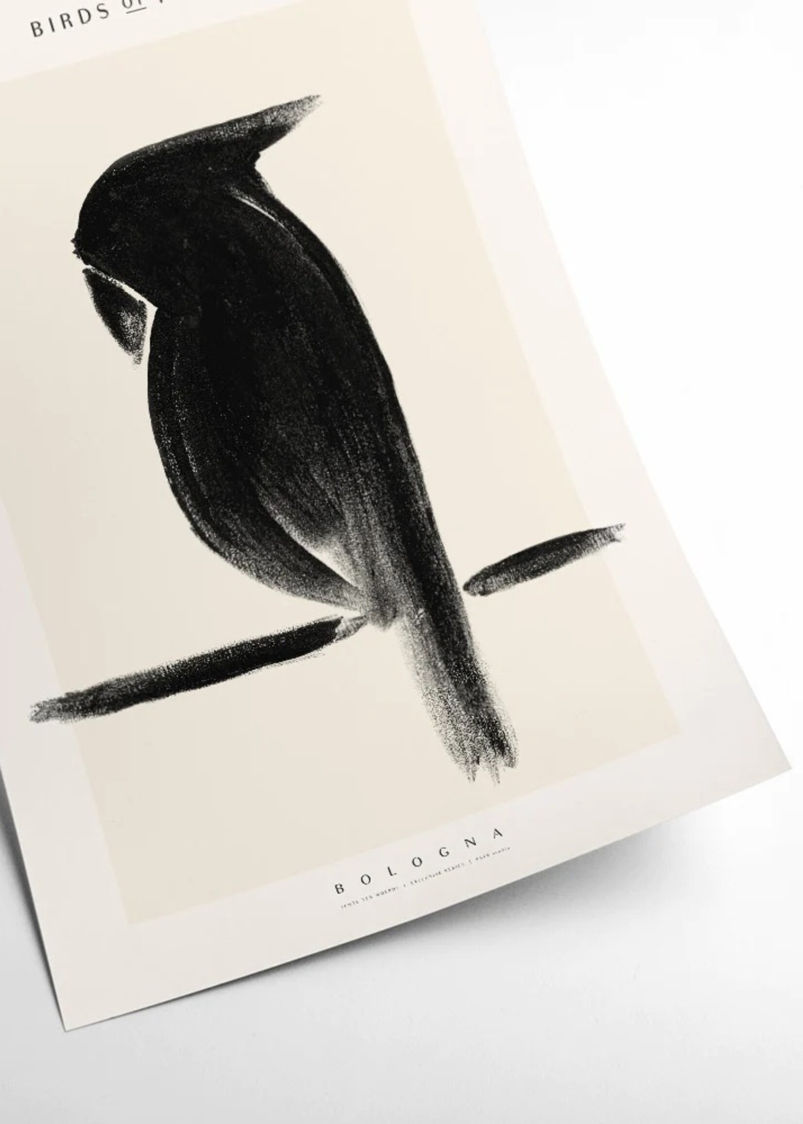PSTR studio PSTR studio - Poster 'Birds of Freedom Bologna'