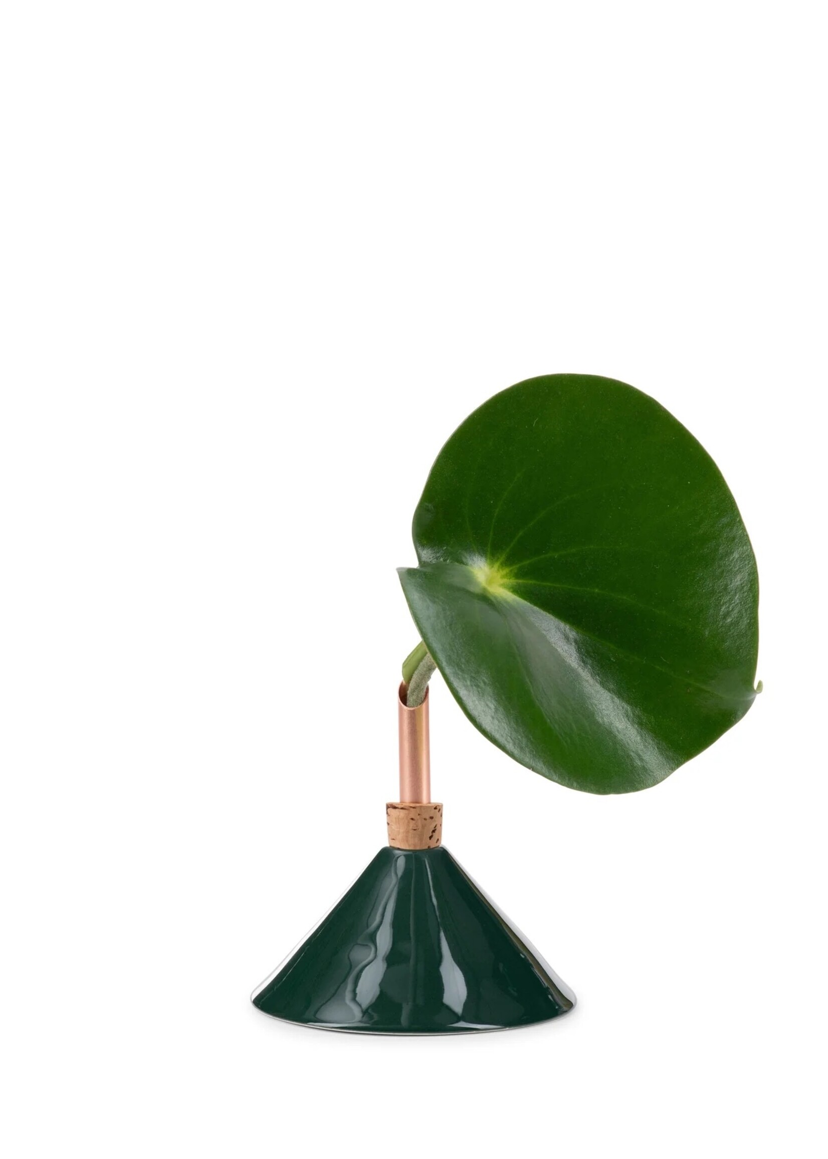 Scandinavia Form Scandinavia Form - Vaas Groen